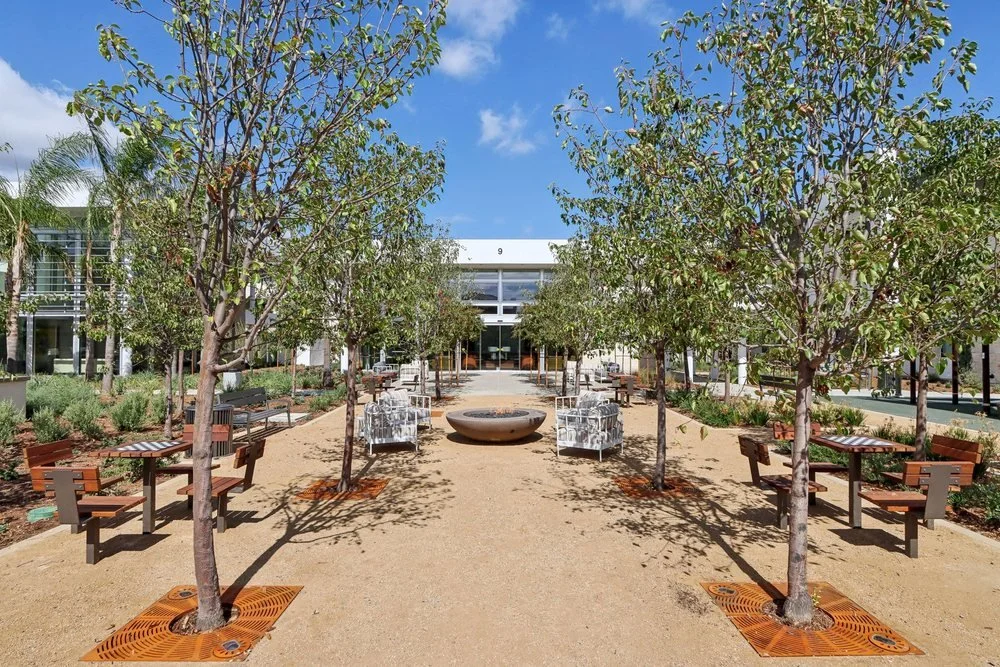 garden view.jpg