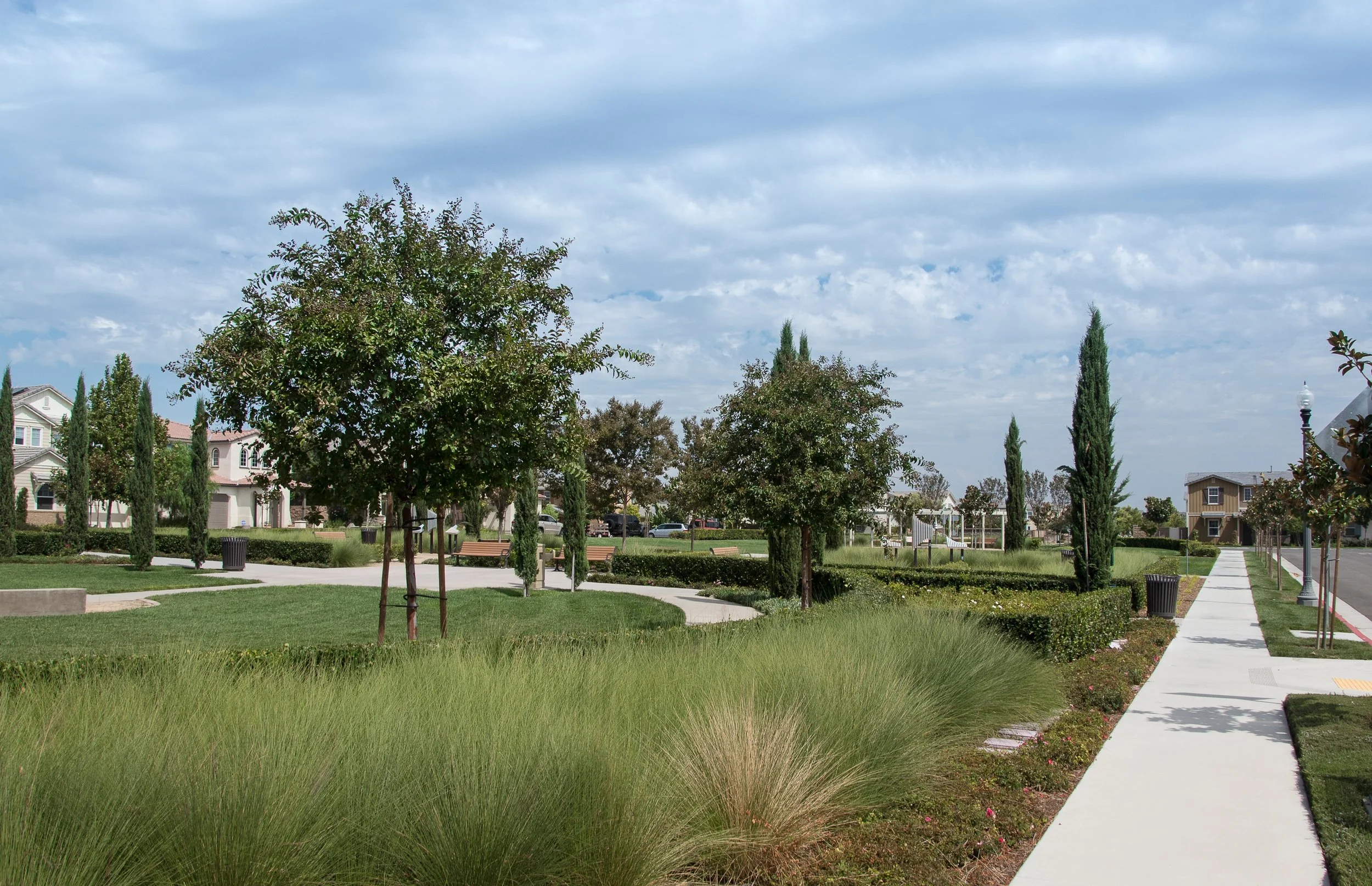 Parks (21 of 41).jpg