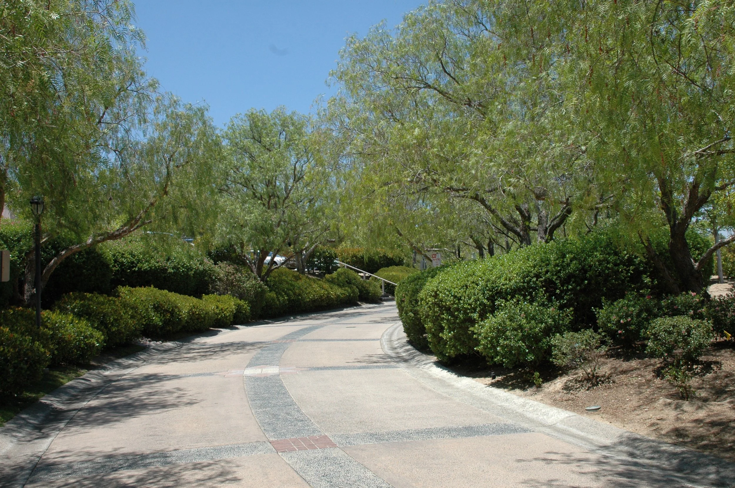 Redhawk clubhouse drive .JPG