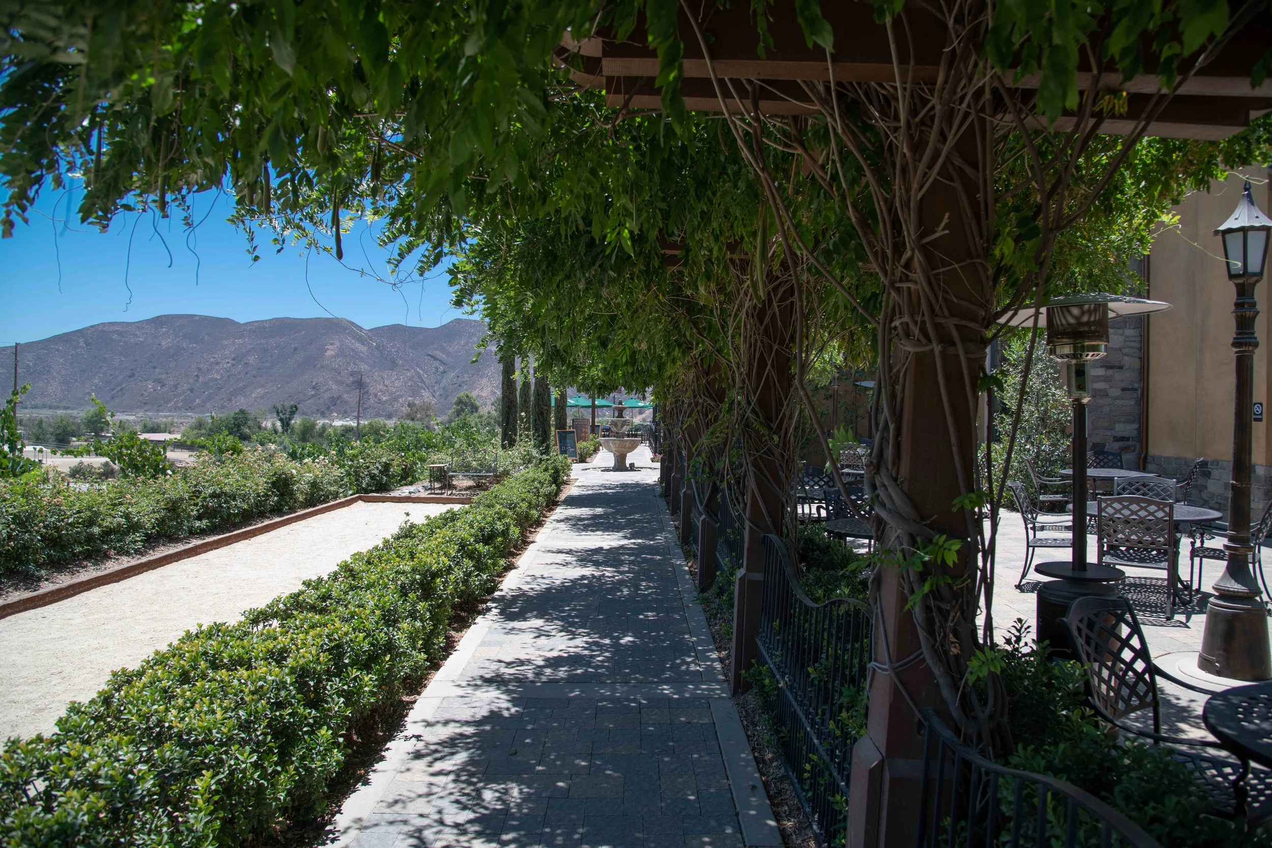 Lorimar Winery 2018 (21 of 22).jpg