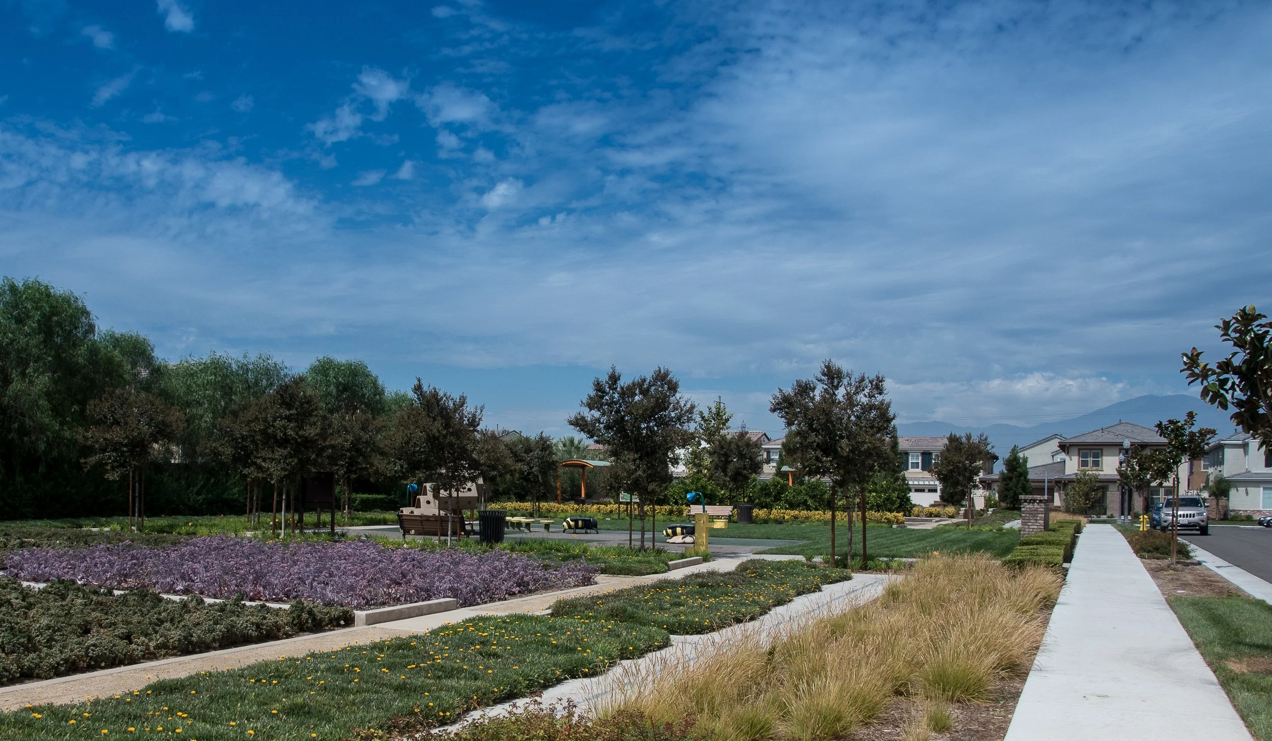 Parks (16 of 41).jpg