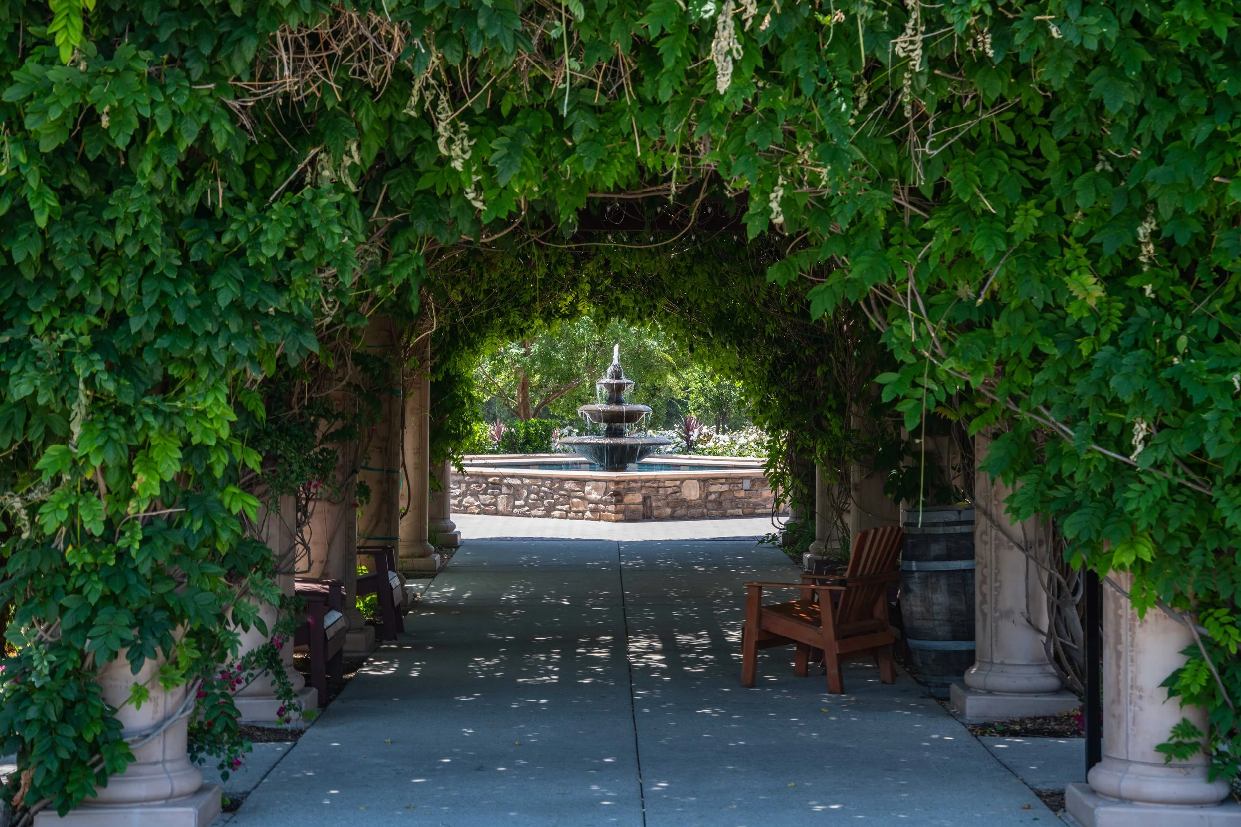 Lorimar Winery 2018 (4 of 22).jpg