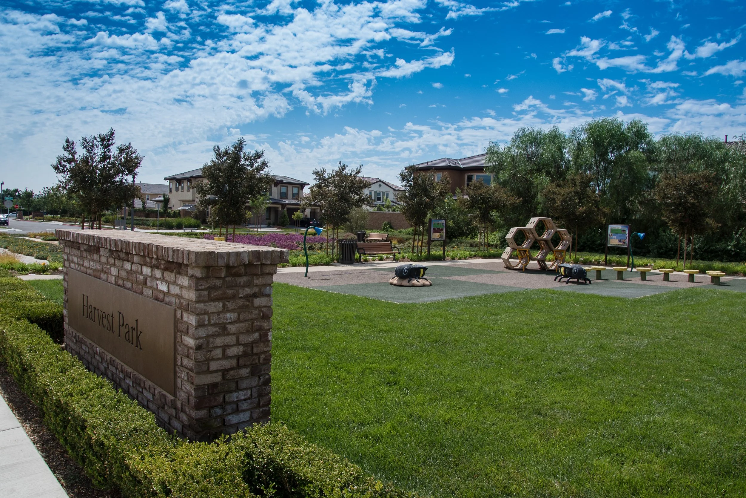 Parks (12 of 41).jpg