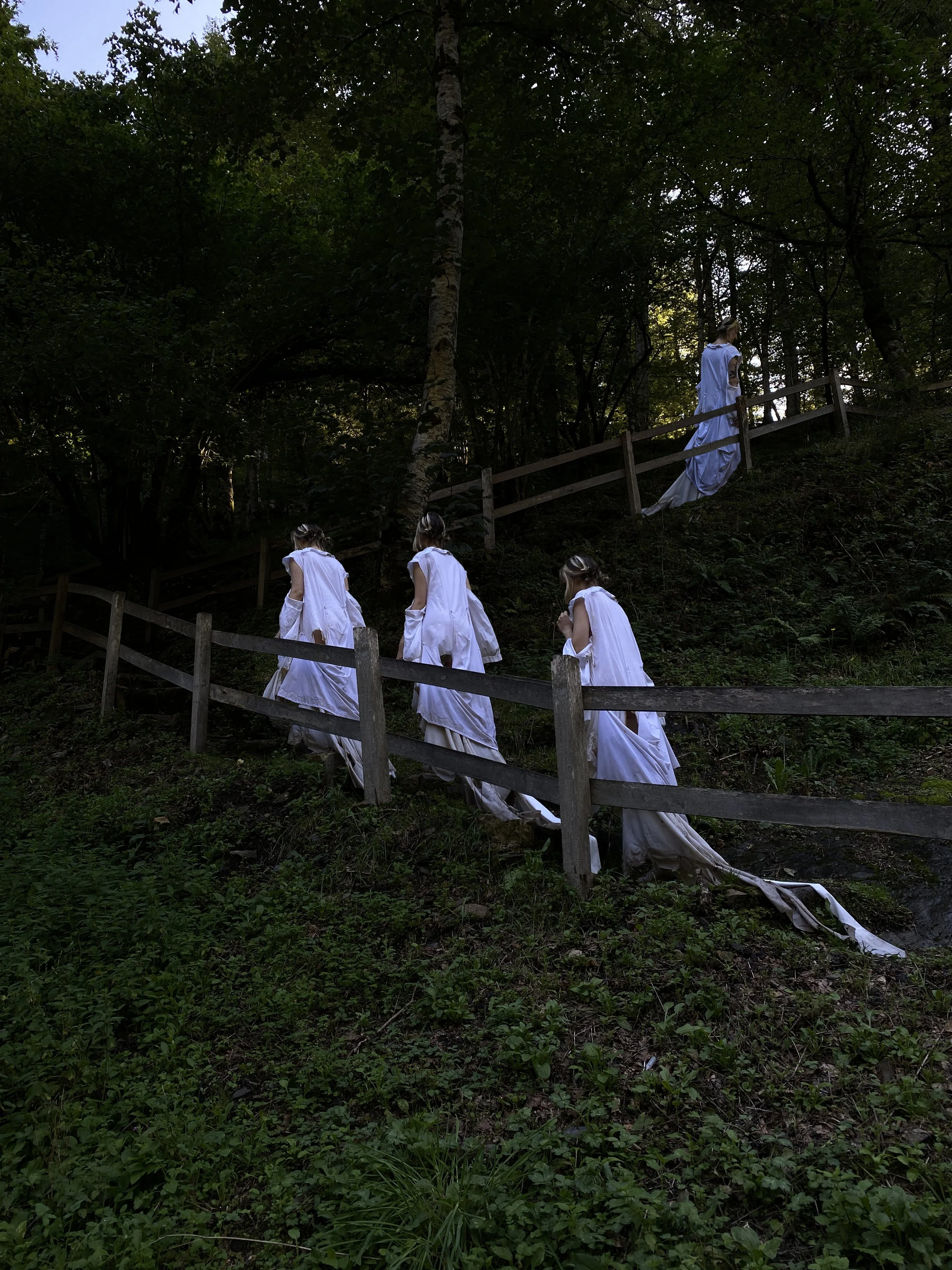 Cuatro niñas en túnicas blancas caminando por una cerca en un bosque, una figura vestida con un vestido largo azul claro está en la cima de una colina con árboles en el fondo.