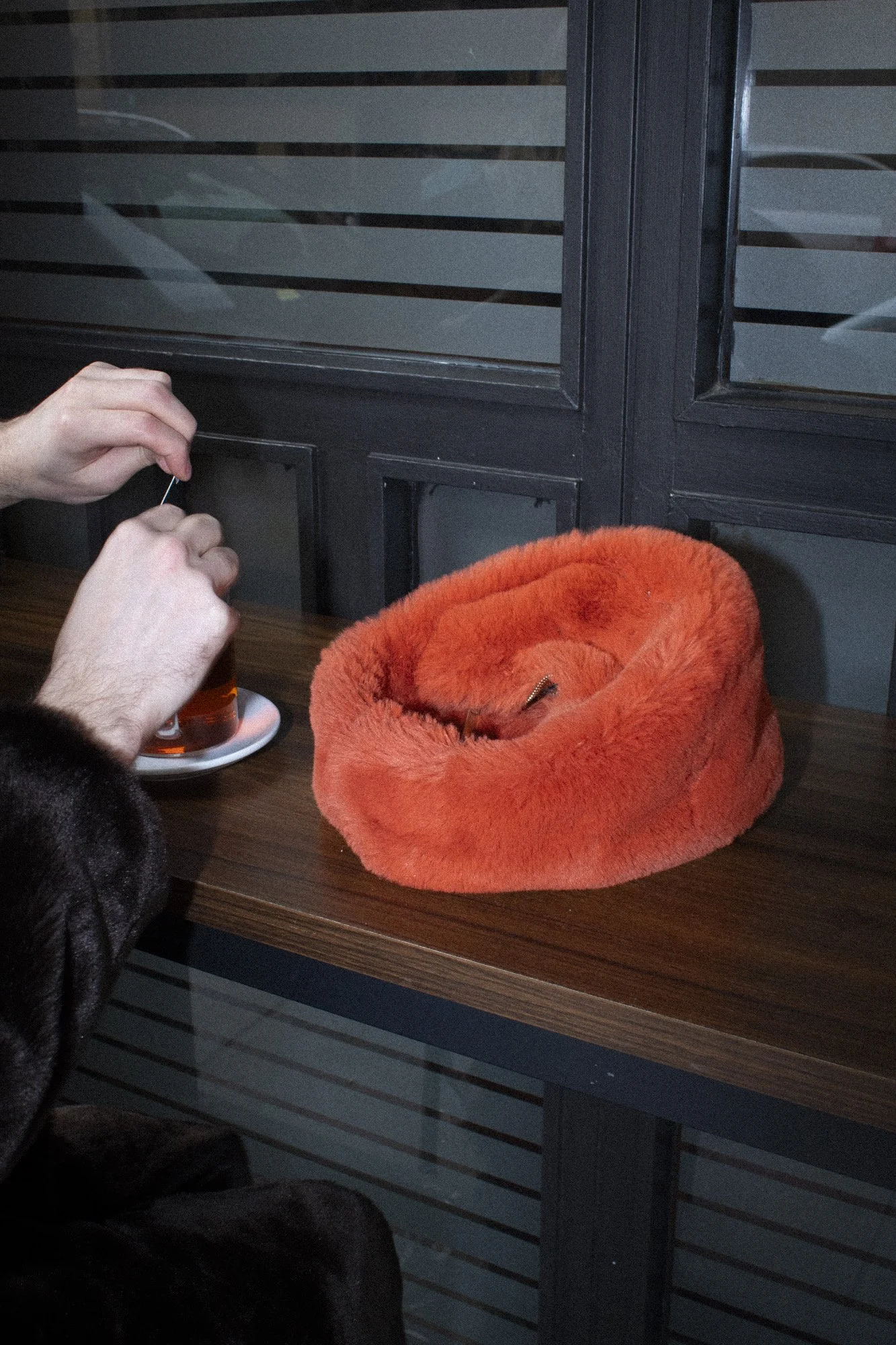 Manos colocando comida en una caja de animales, en primer plano una manta naranja en forma de cesta, y en el fondo una ventana con persianas.