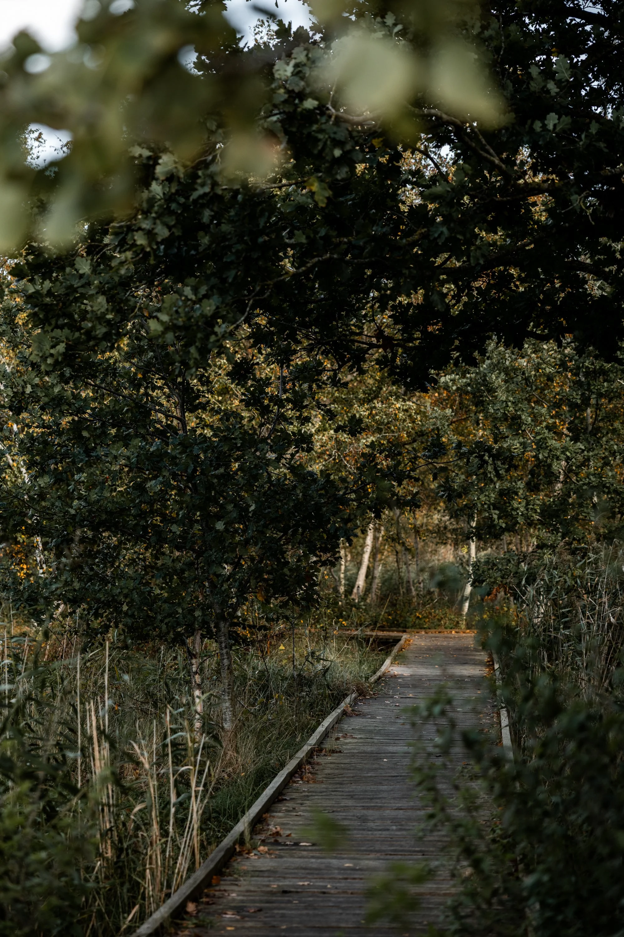 NH 10.10.26 x Jule Christoffers Photography-15.JPG