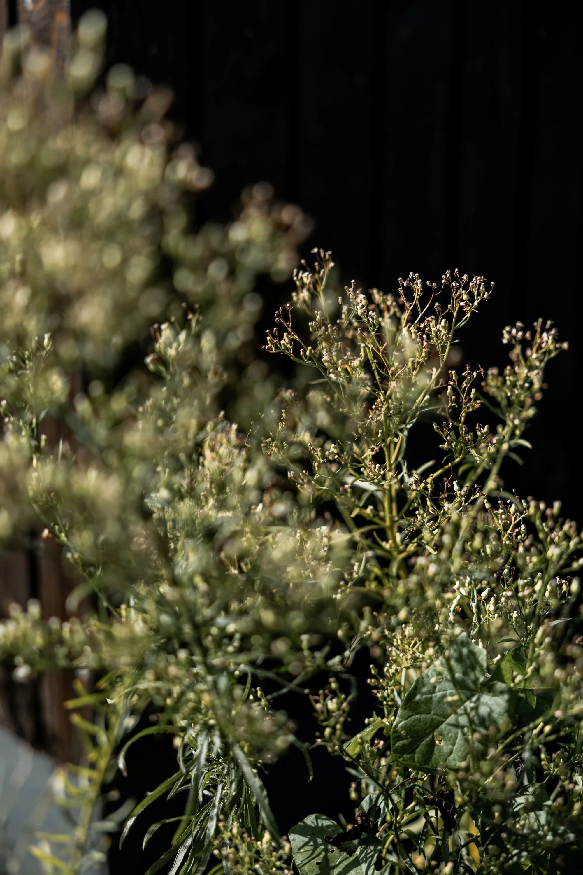 NH 10.10.26 x Jule Christoffers Photography-7.JPG