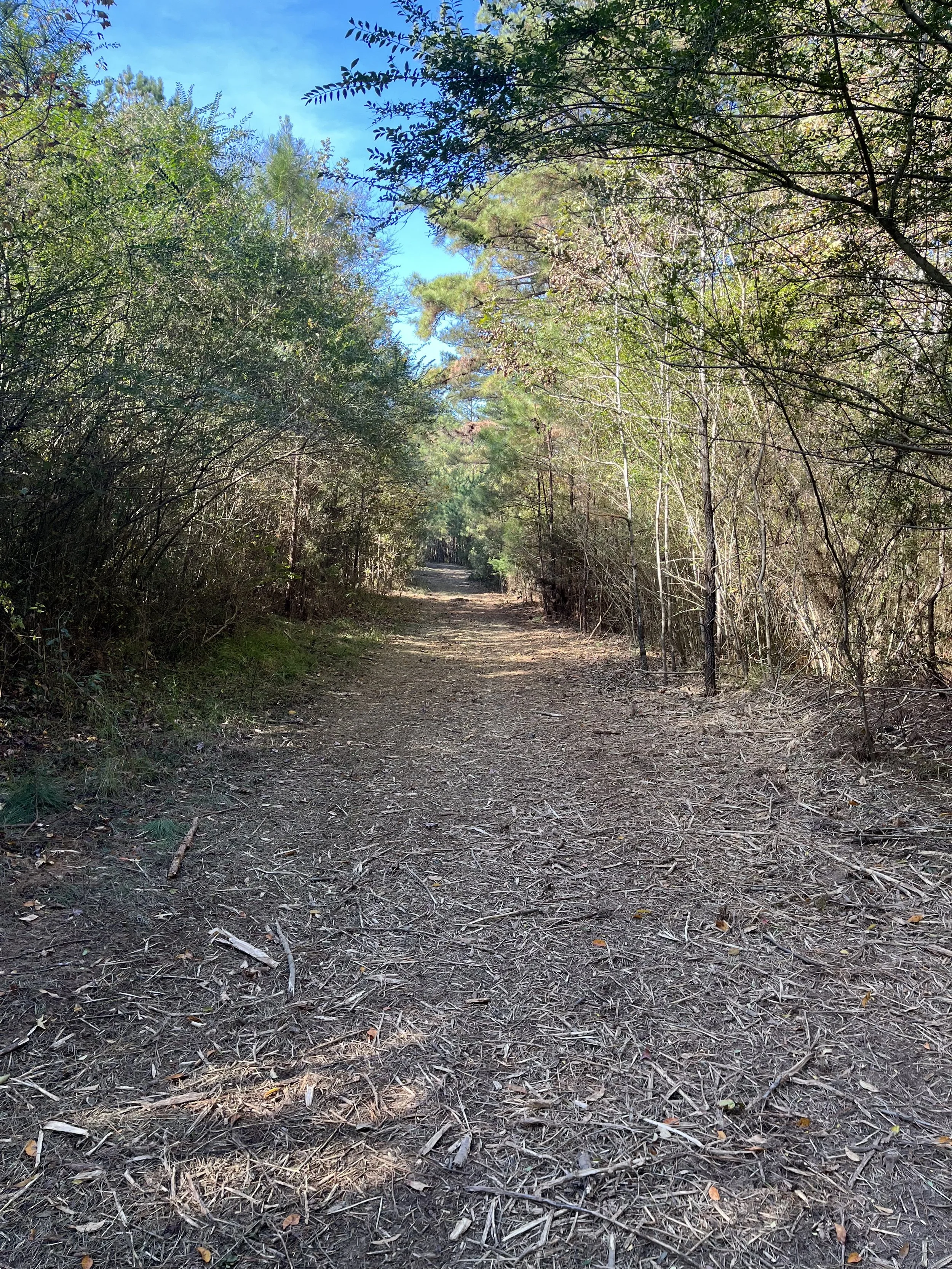 Forrestry Mulching