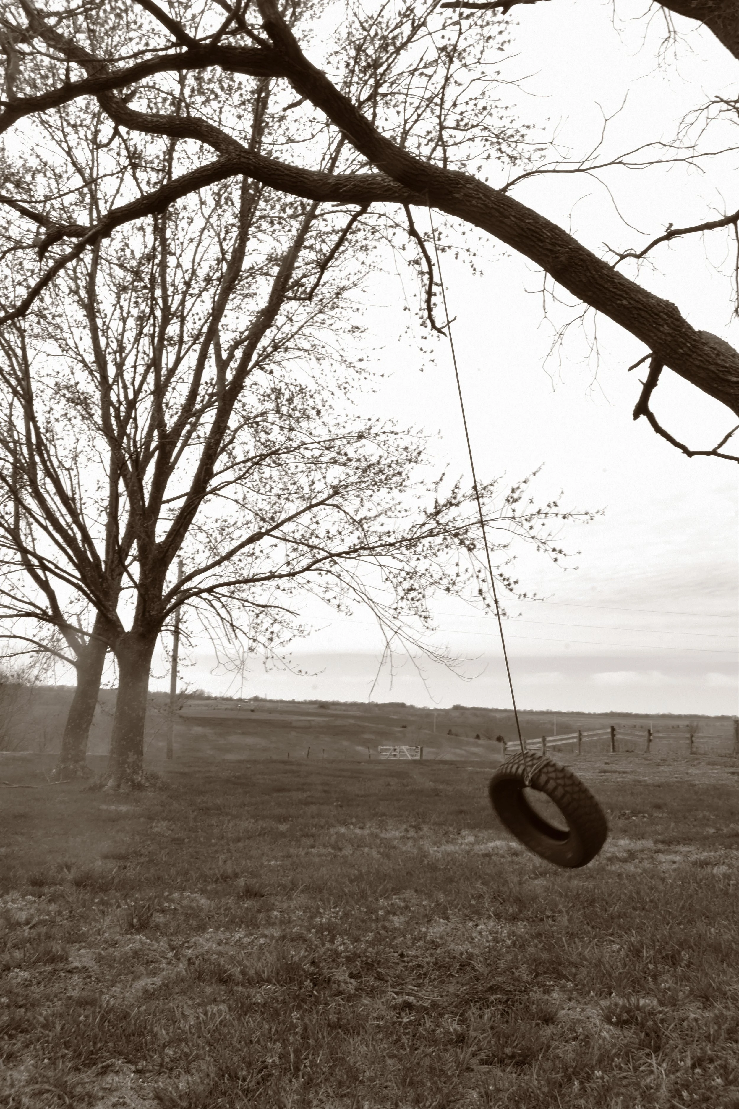 Tire Swing.jpg