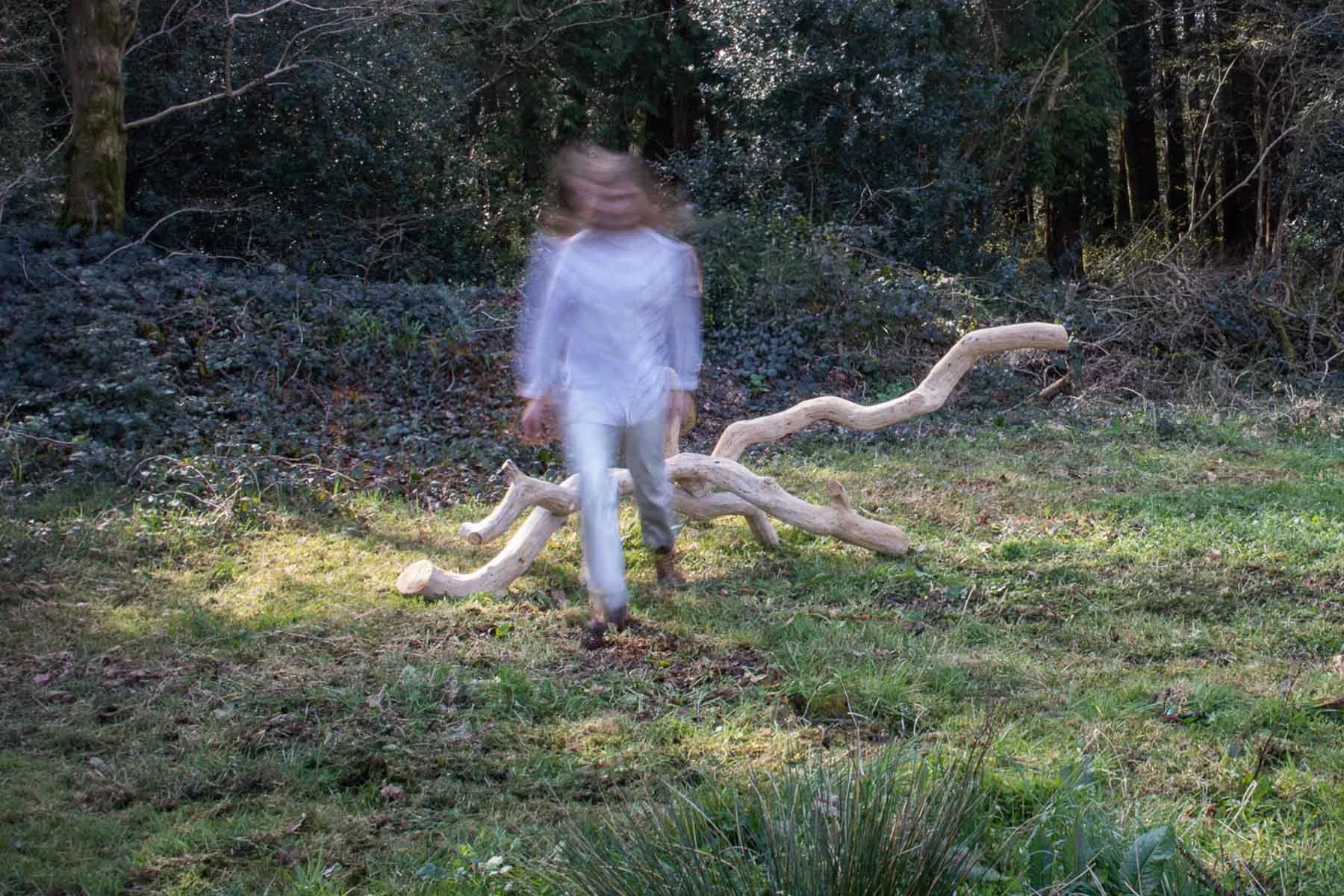 Growth — Scale and Relationship to Body