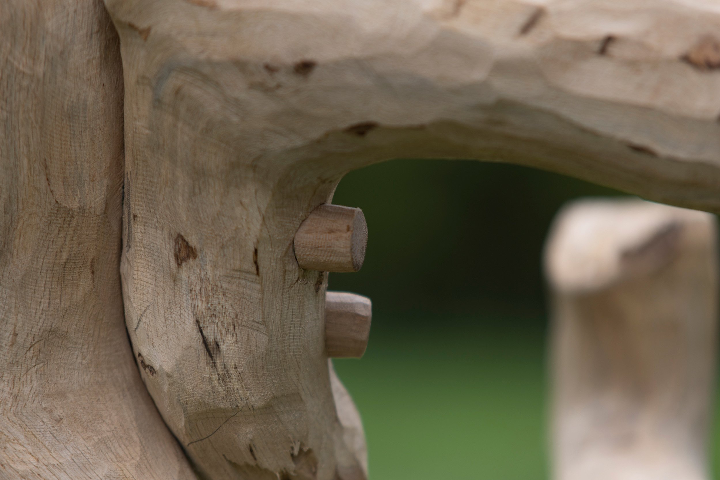 Growth — Oak Peg Joint and Surface Detail