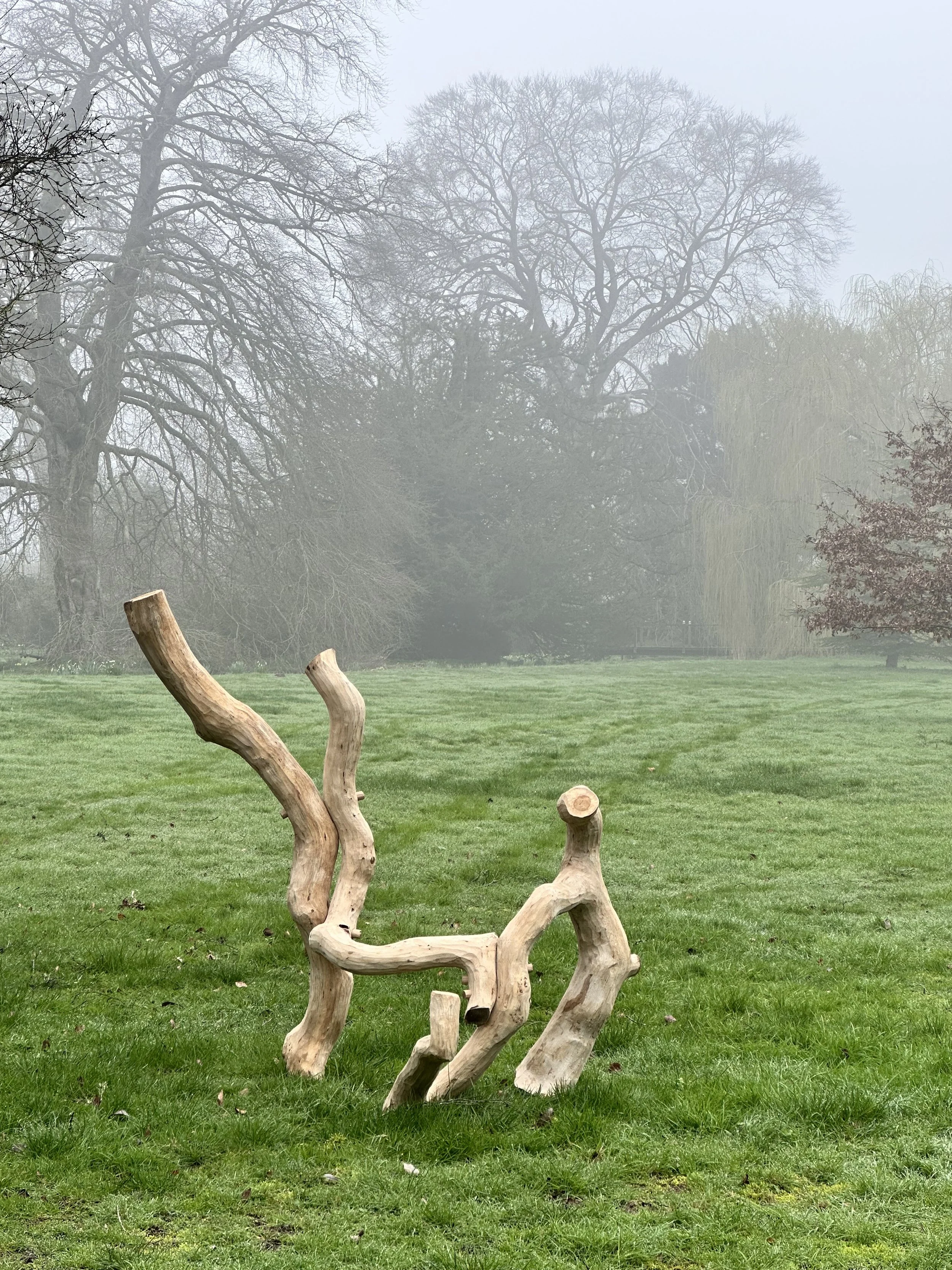 A twisted, gnarled piece of driftwood or sculpture on green grass in a foggy park, with leafless trees in the background.