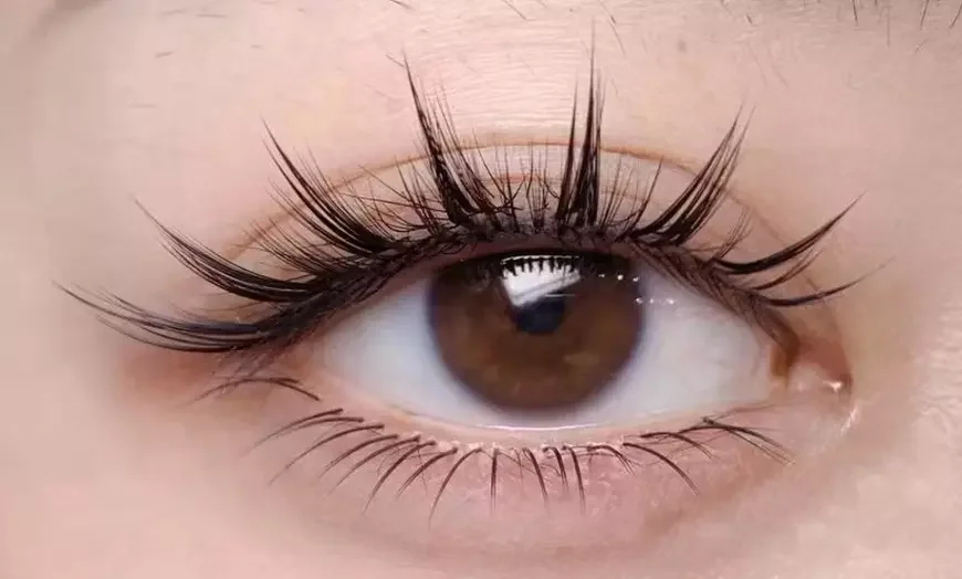 Close-up of a brown eye with long, curled eyelashes.