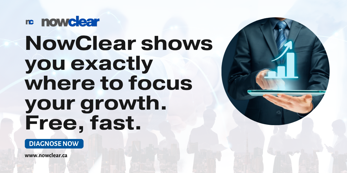 nowclear-free business diagnostic