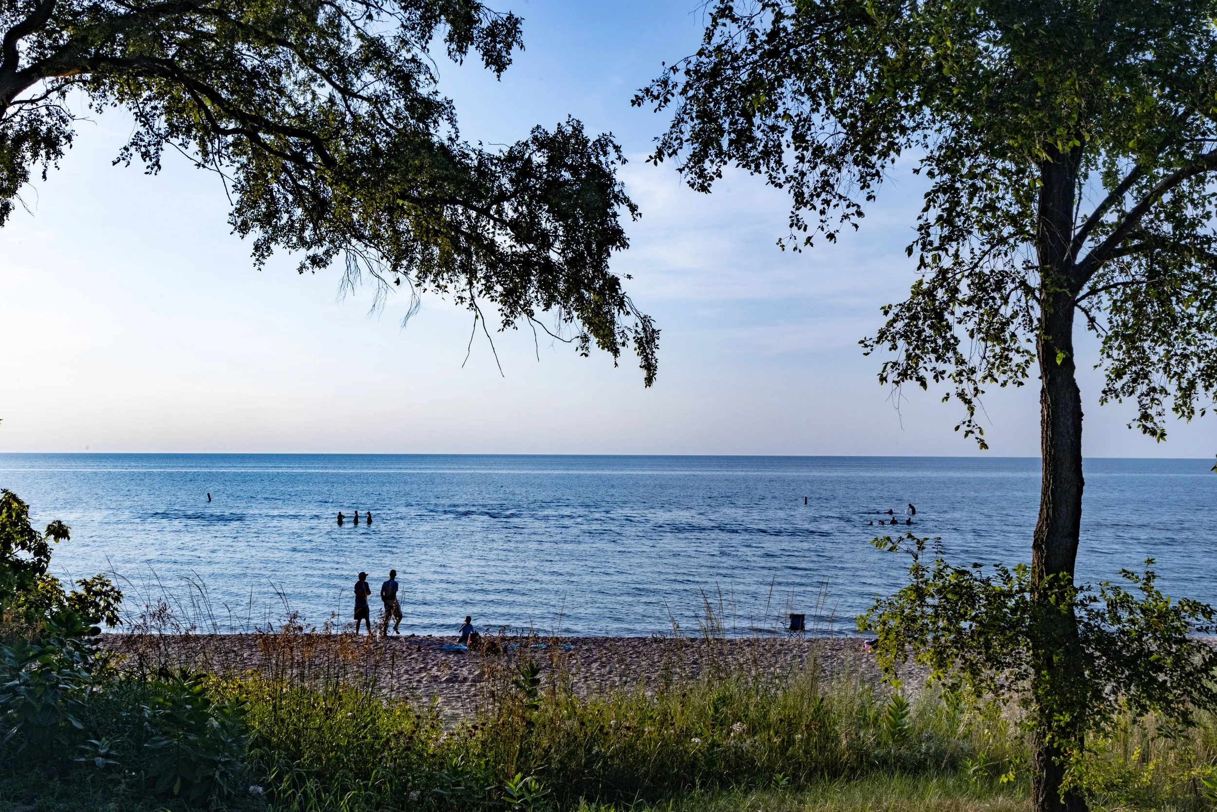 A peaceful beach scene with three people walking on the sandy shore, and others swimming or paddleboarding in the water, framed by trees and greenery.
