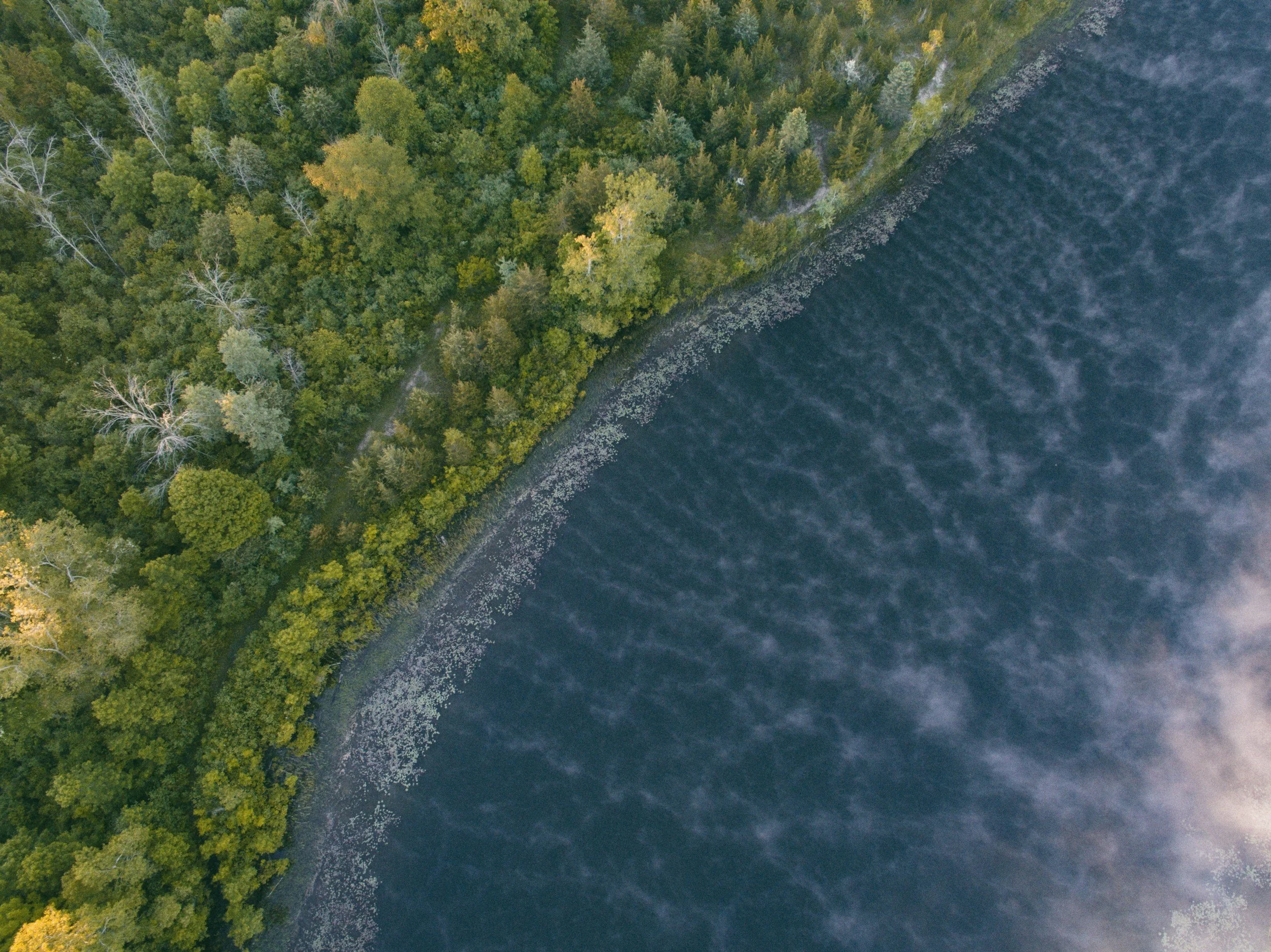 Green trees meet blue water to create a Lake Huron shoreline in Michigan