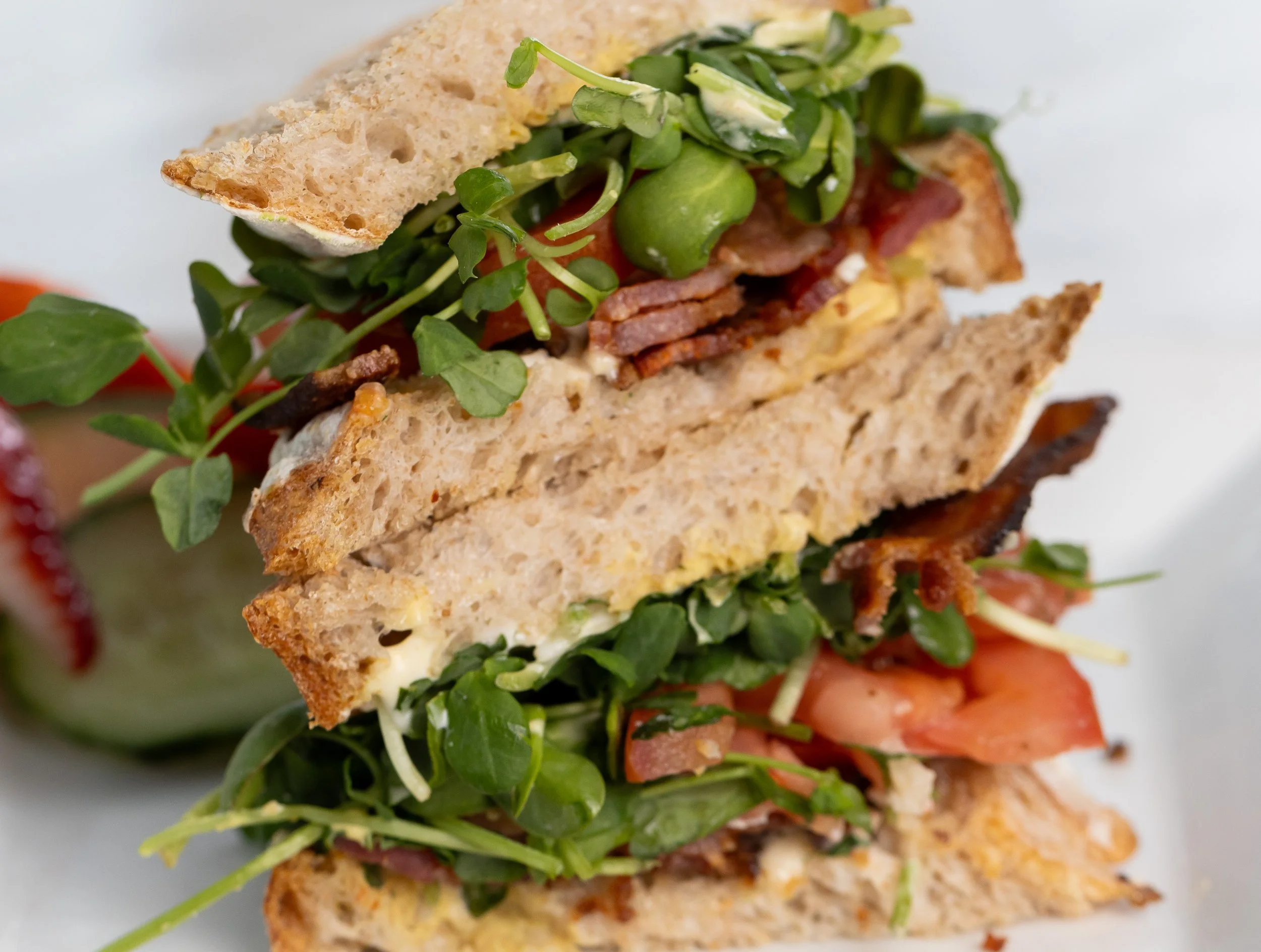 Close up of a stacked BLT sandwich At Fancy Pants Cafe in Bridgewater, Nova Scotia