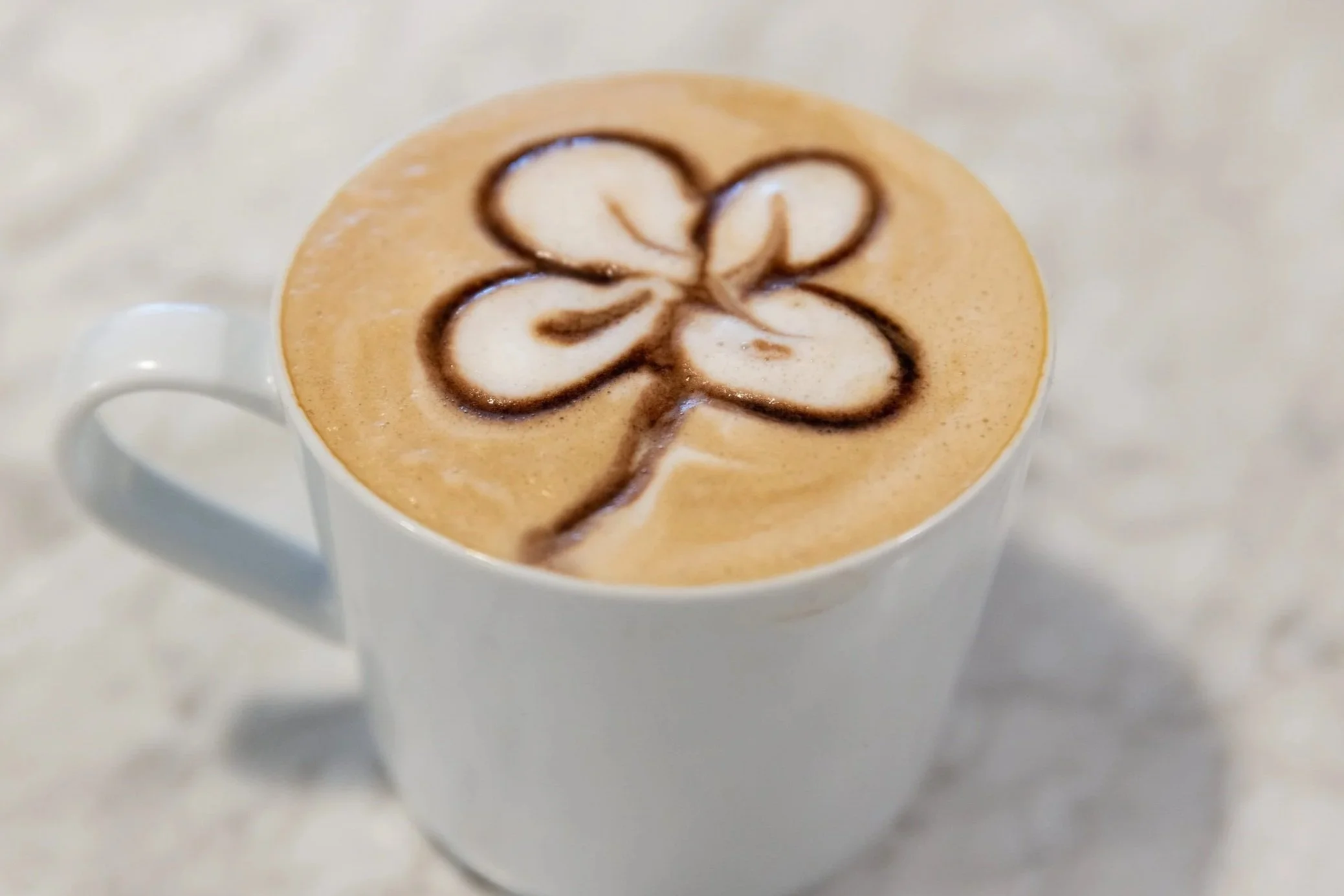 Latte with shamrock art made of chocolate syrup At Fancy Pants Cafe in Bridgewater, Nova Scotia