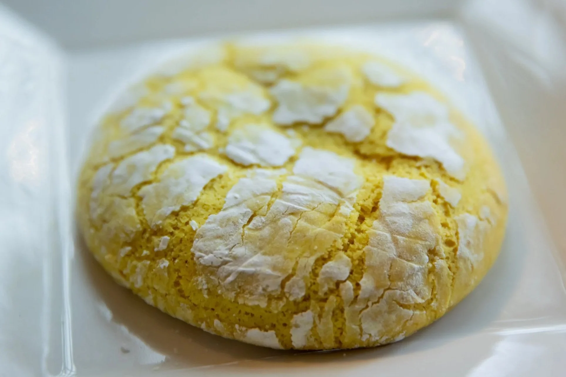Lemon crinkle cookie At Fancy Pants Cafe in Bridgewater, Nova Scotia