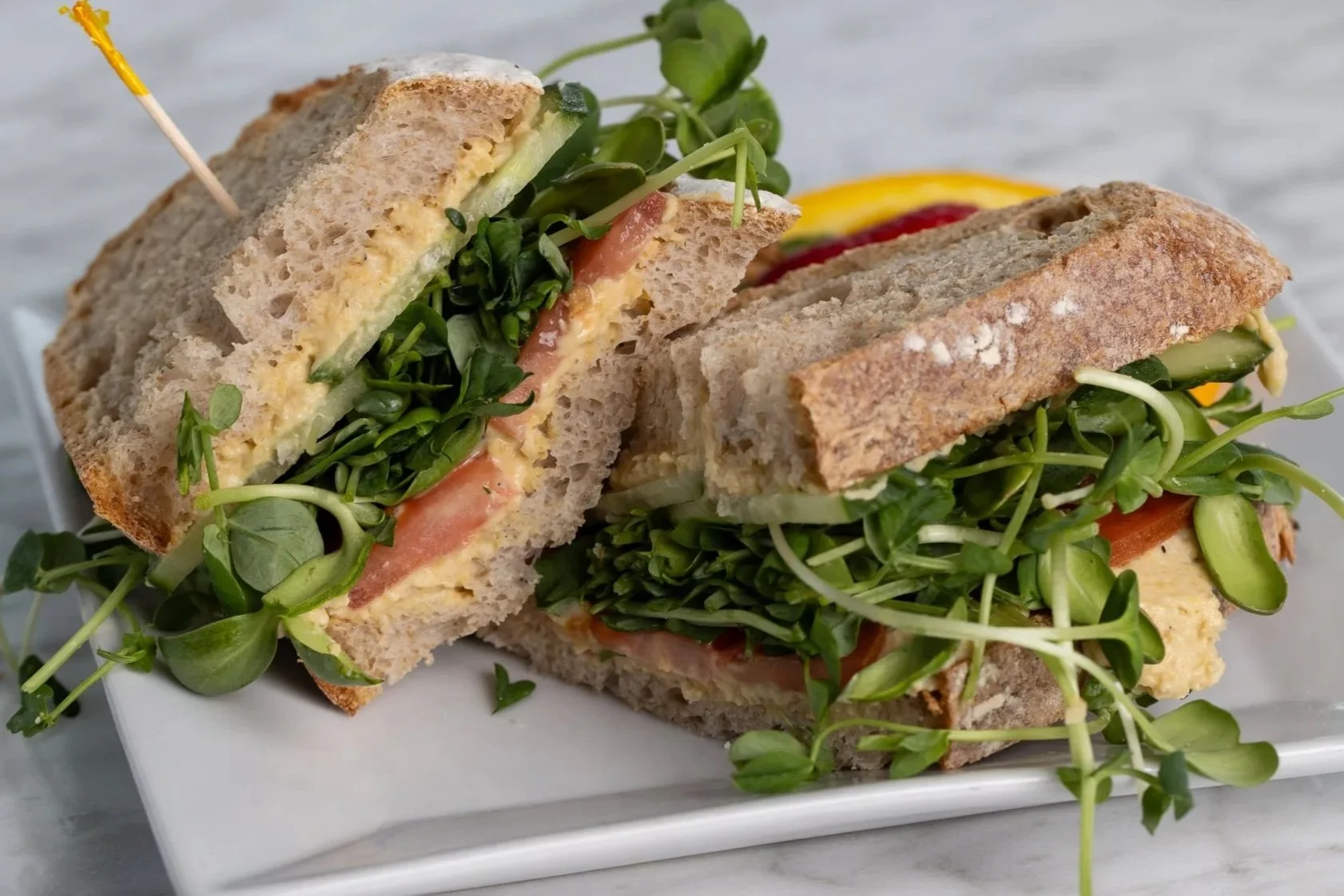 Big Veggie sandwich At Fancy Pants Cafe in Bridgewater, Nova Scotia