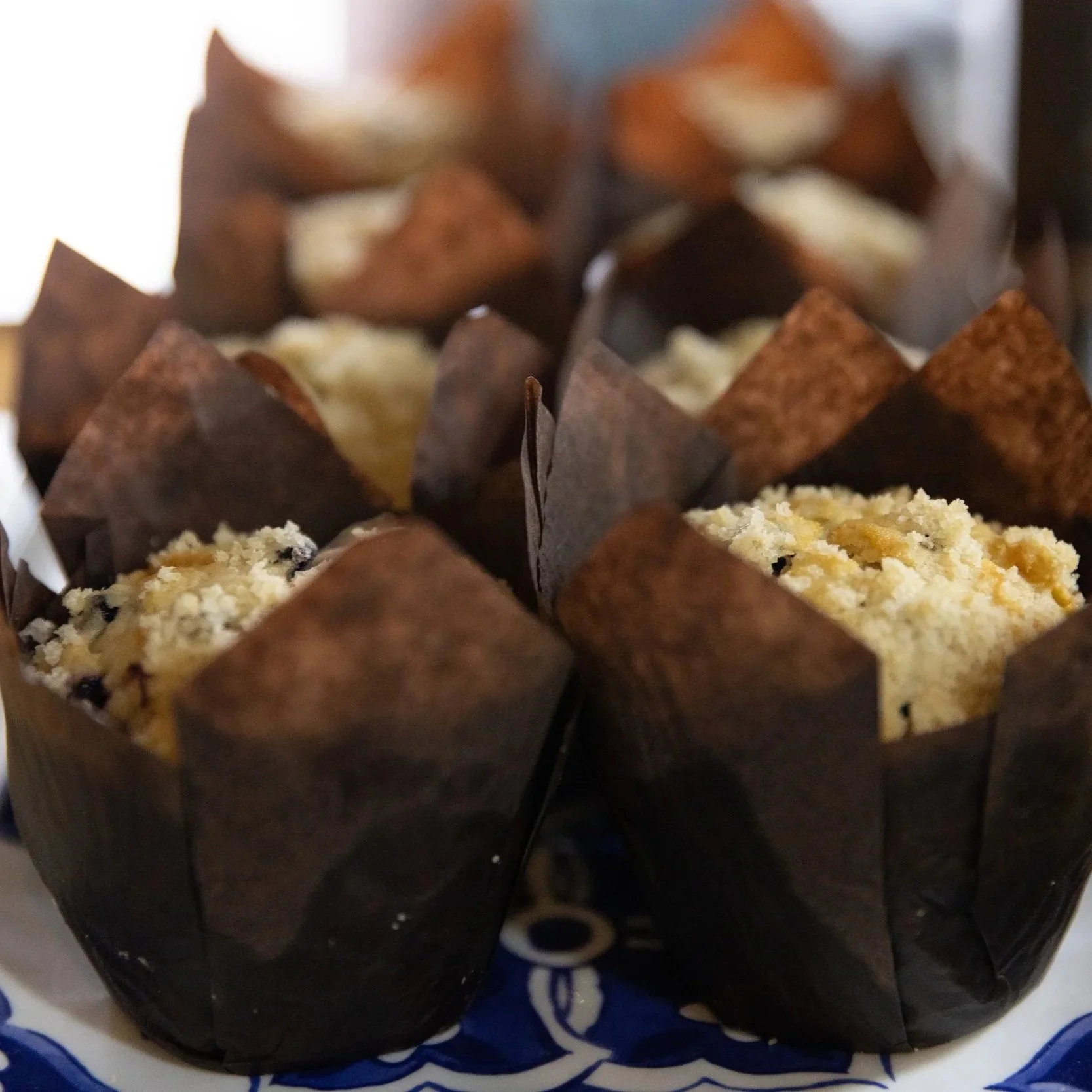 Muffins on display At Fancy Pants Cafe in Bridgewater, Nova Scotia
