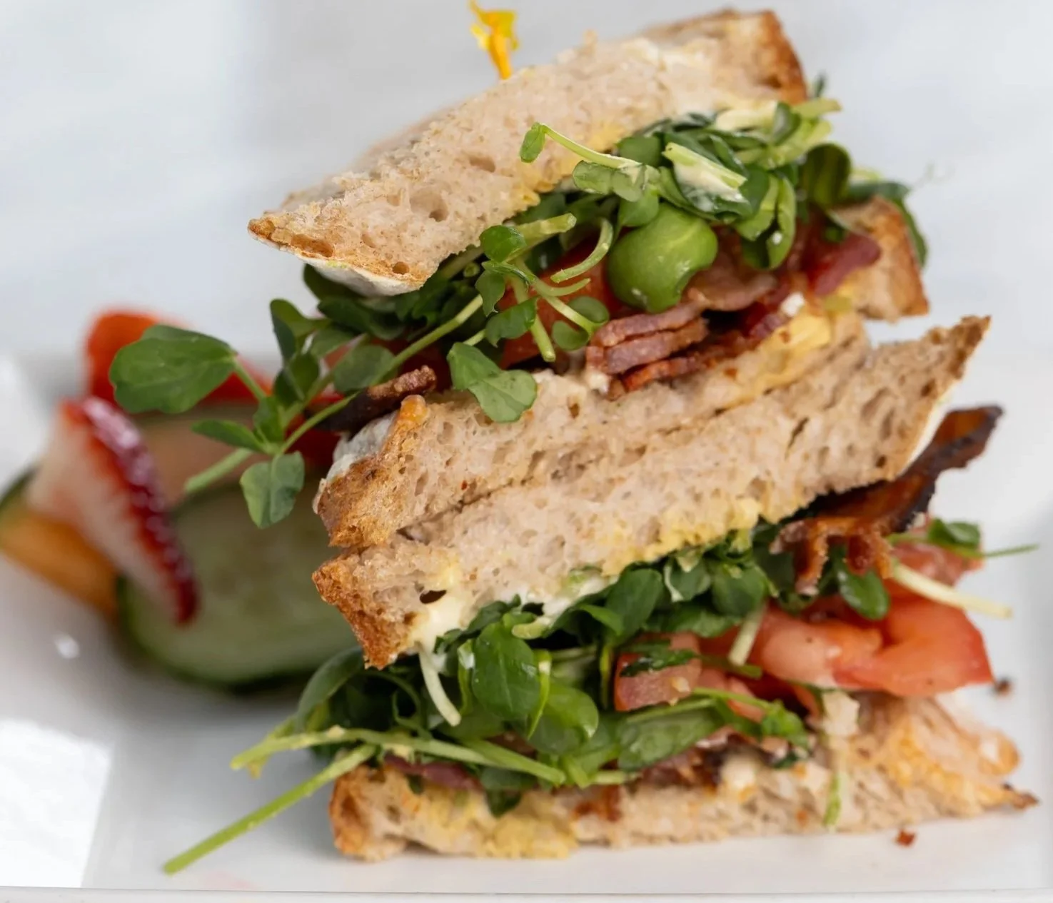 Stacked BLT sandwich At Fancy Pants Cafe in Bridgewater, Nova Scotia