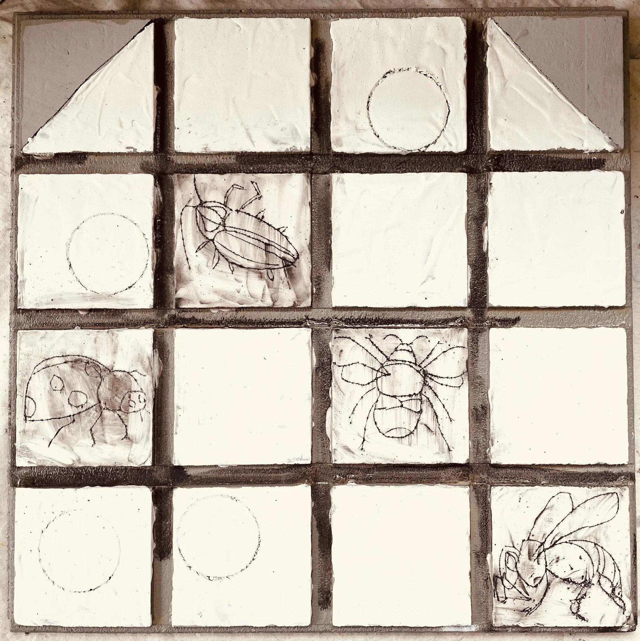 Studio view · Insect studies