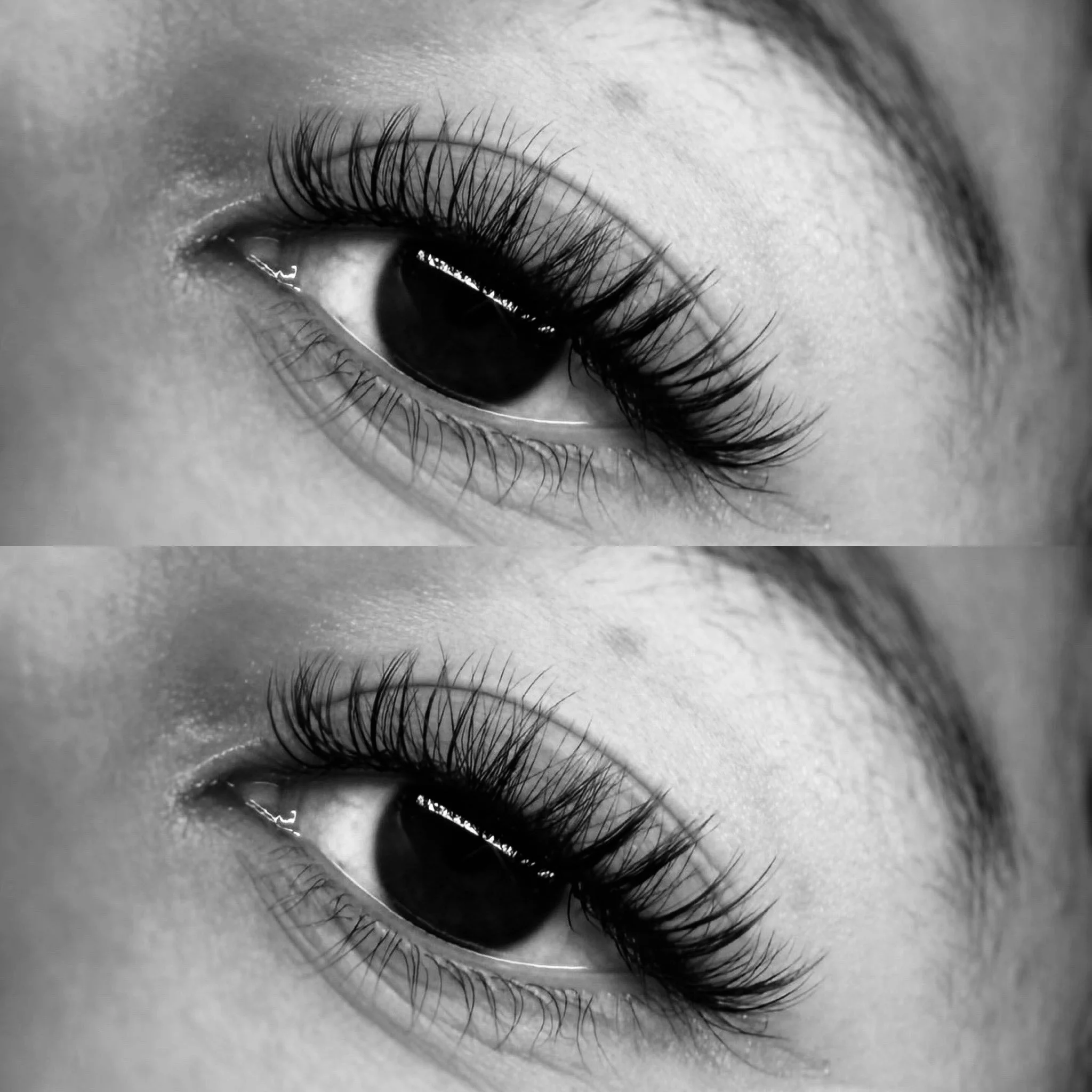 Black and white close-up of a human eye with long, curled eyelashes and well-defined eyebrows, shown twice with slight variation.