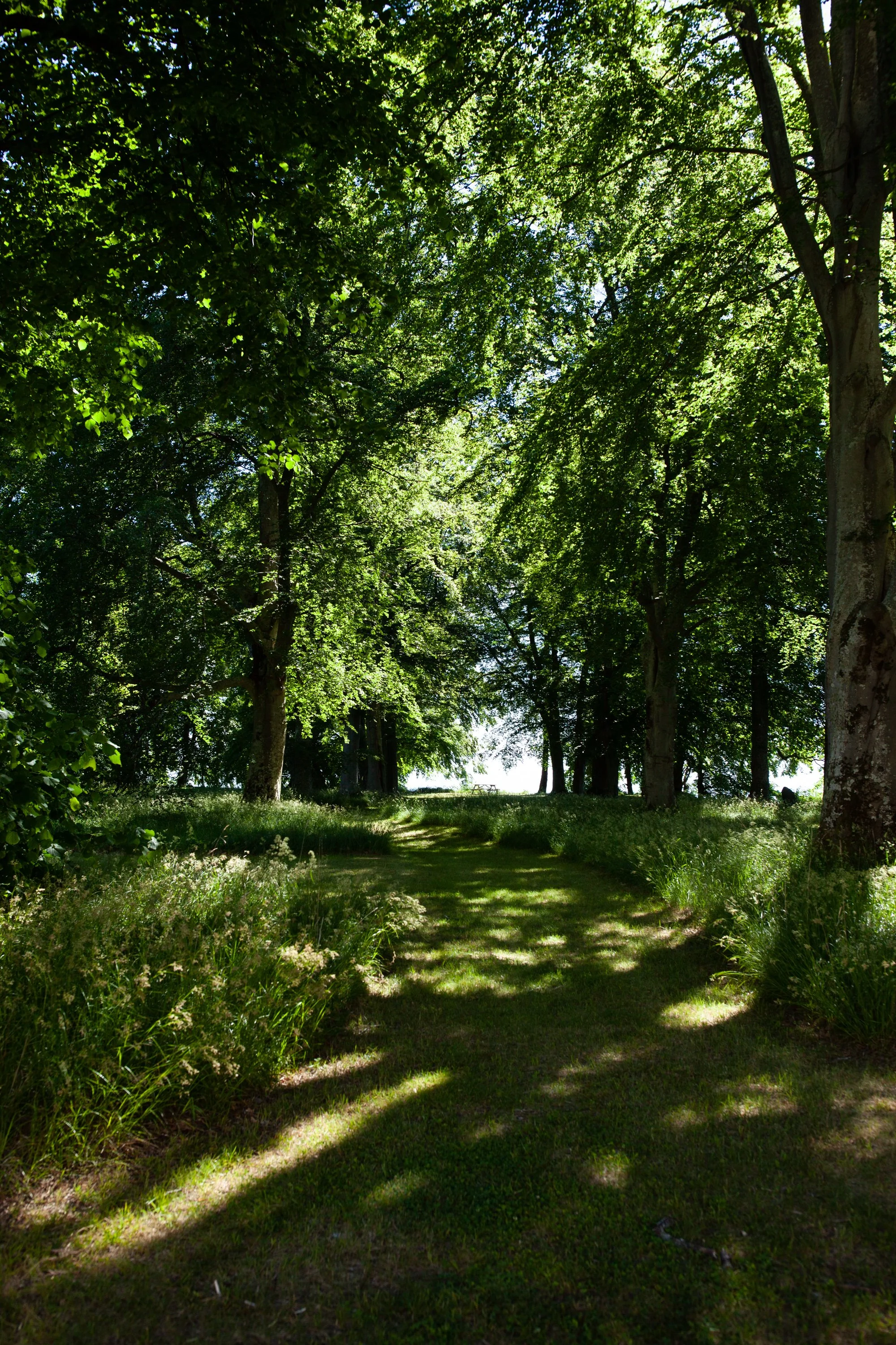 Portratt (13 of 267).jpg