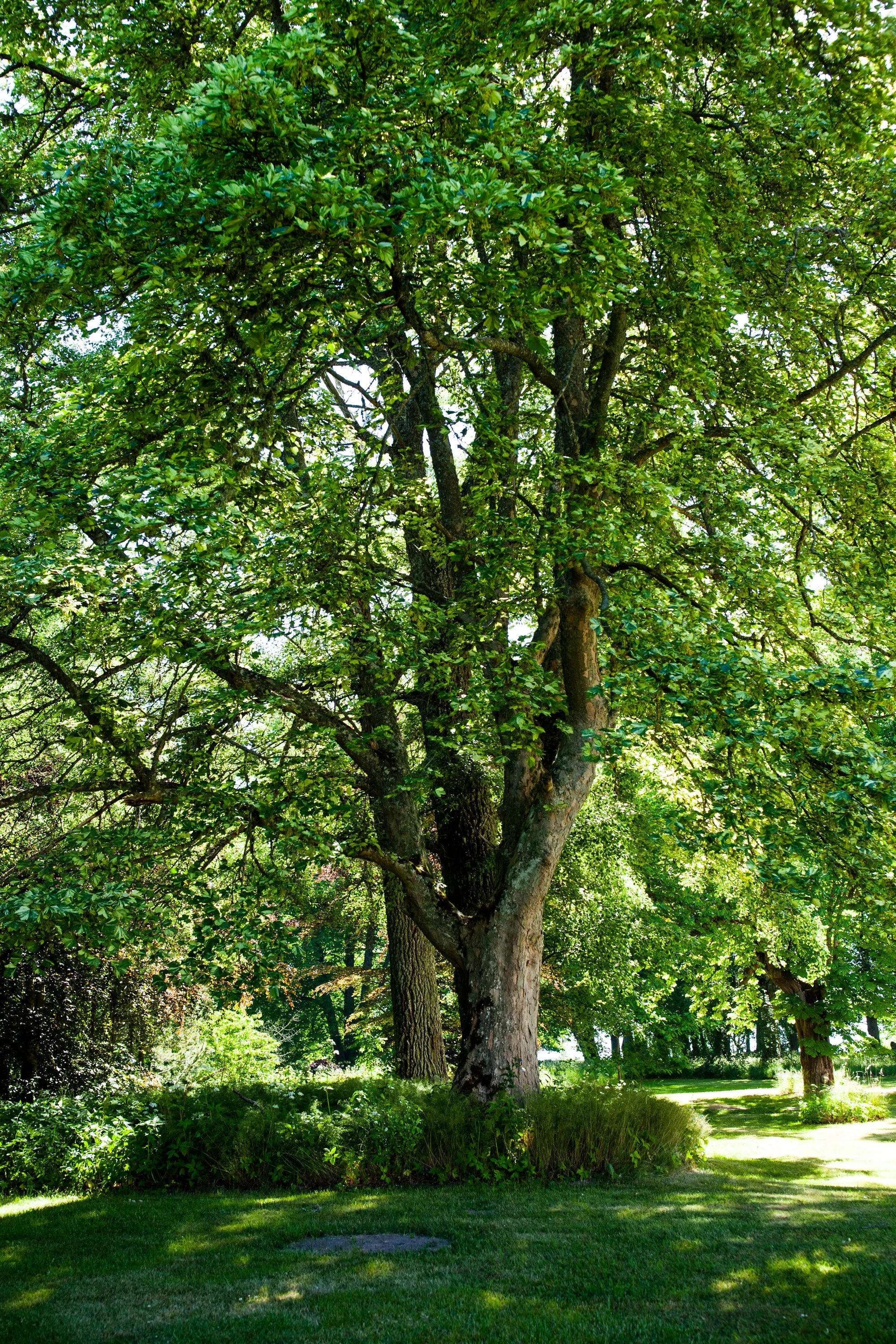 Portratt (12 of 267).jpg