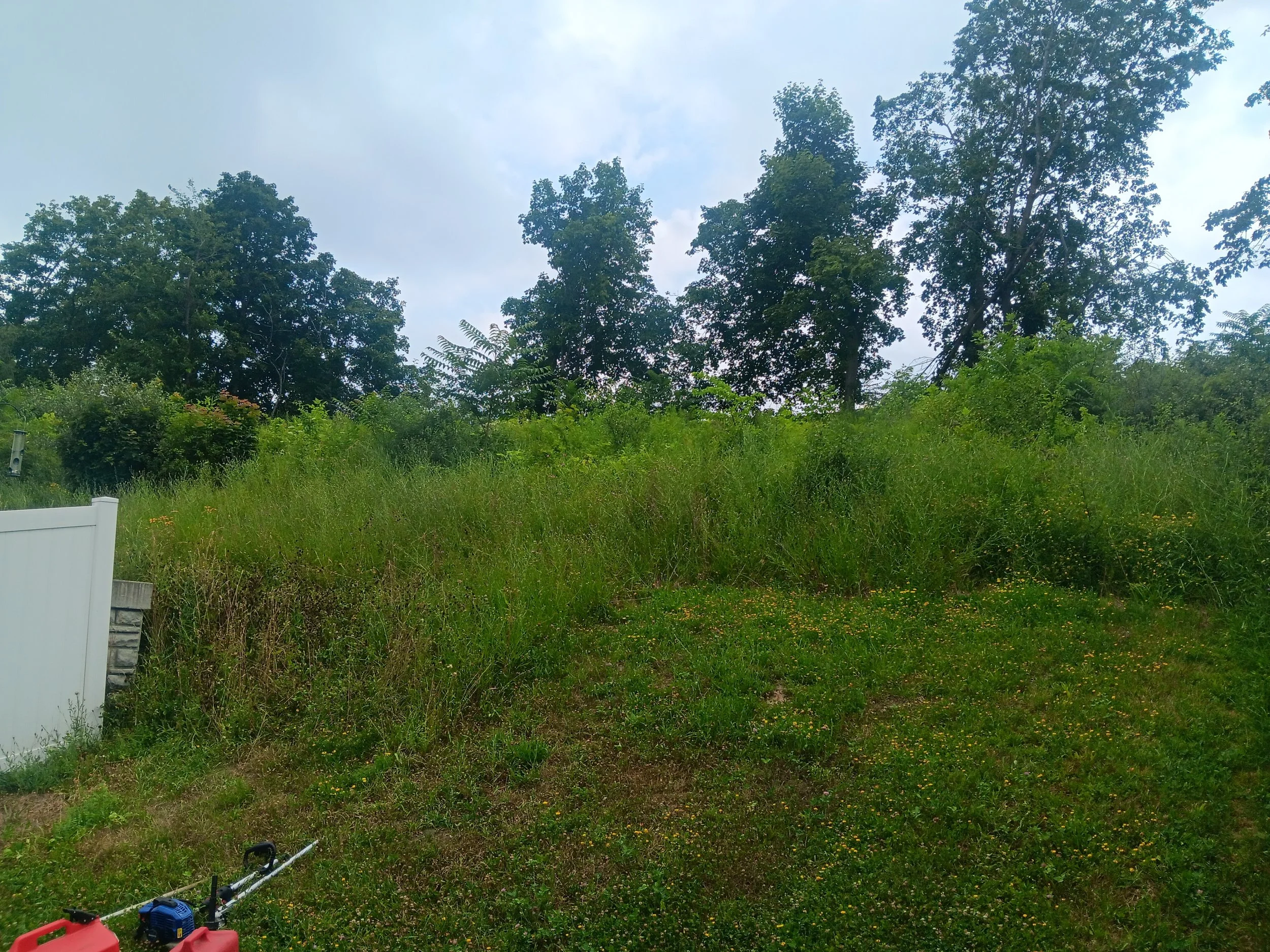 Land-clearing services