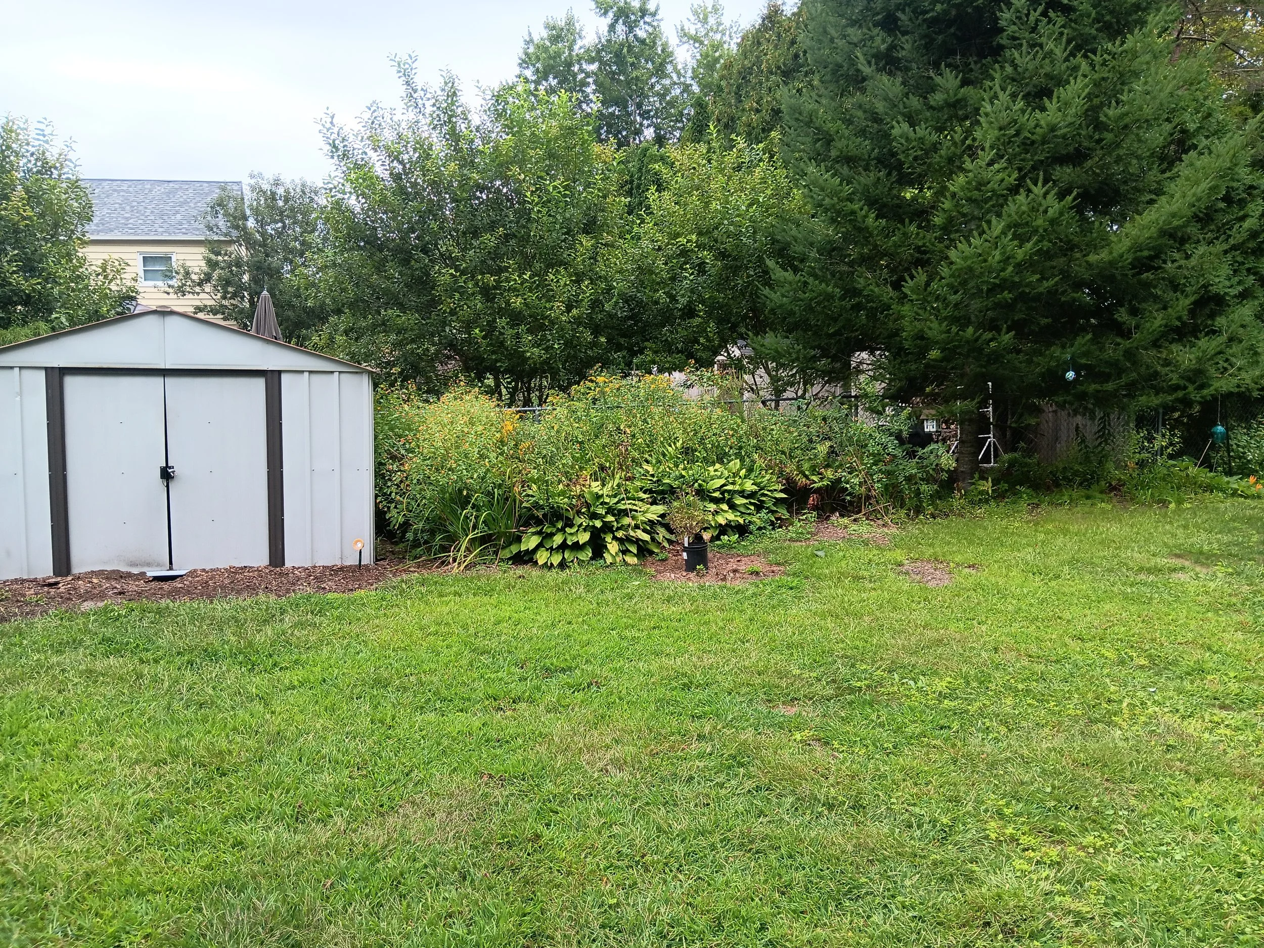 Seasonal clean up Services