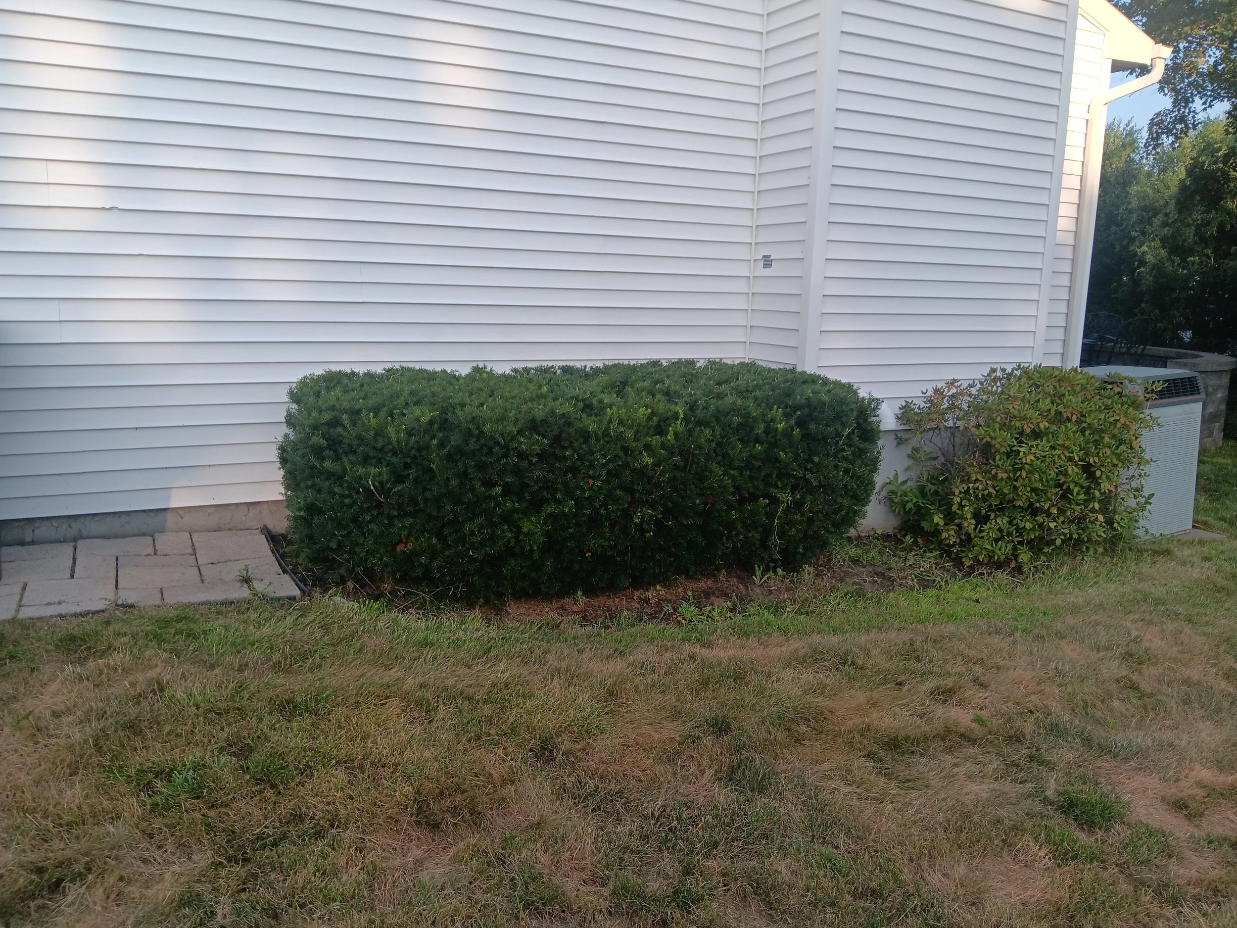 20250728_184959.jpg (Copy)