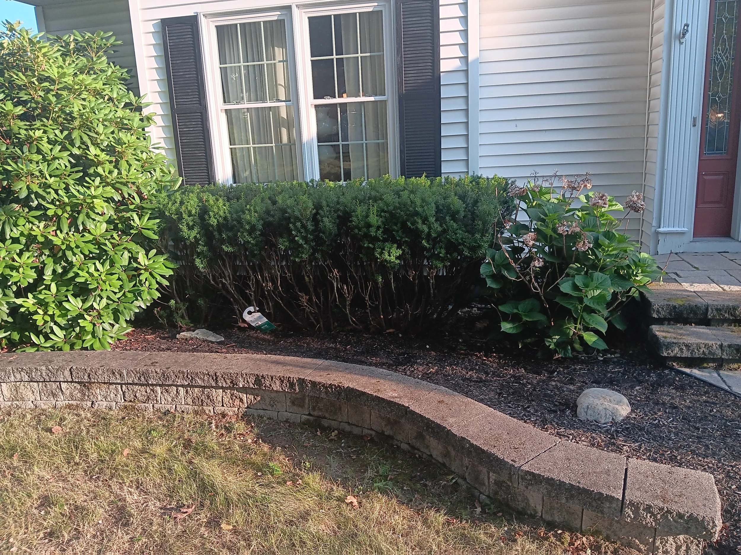 20250728_185037.jpg (Copy)