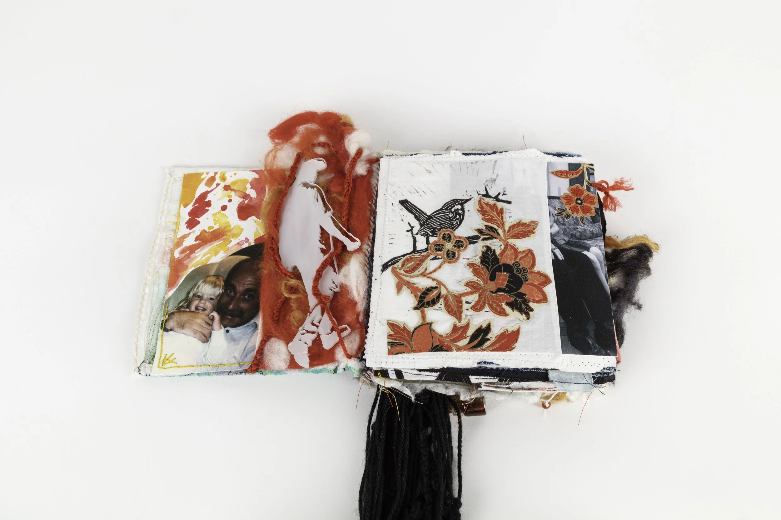 Water color, Laser print, felt work, Lino Wren print with paper college attached with hand stitch work