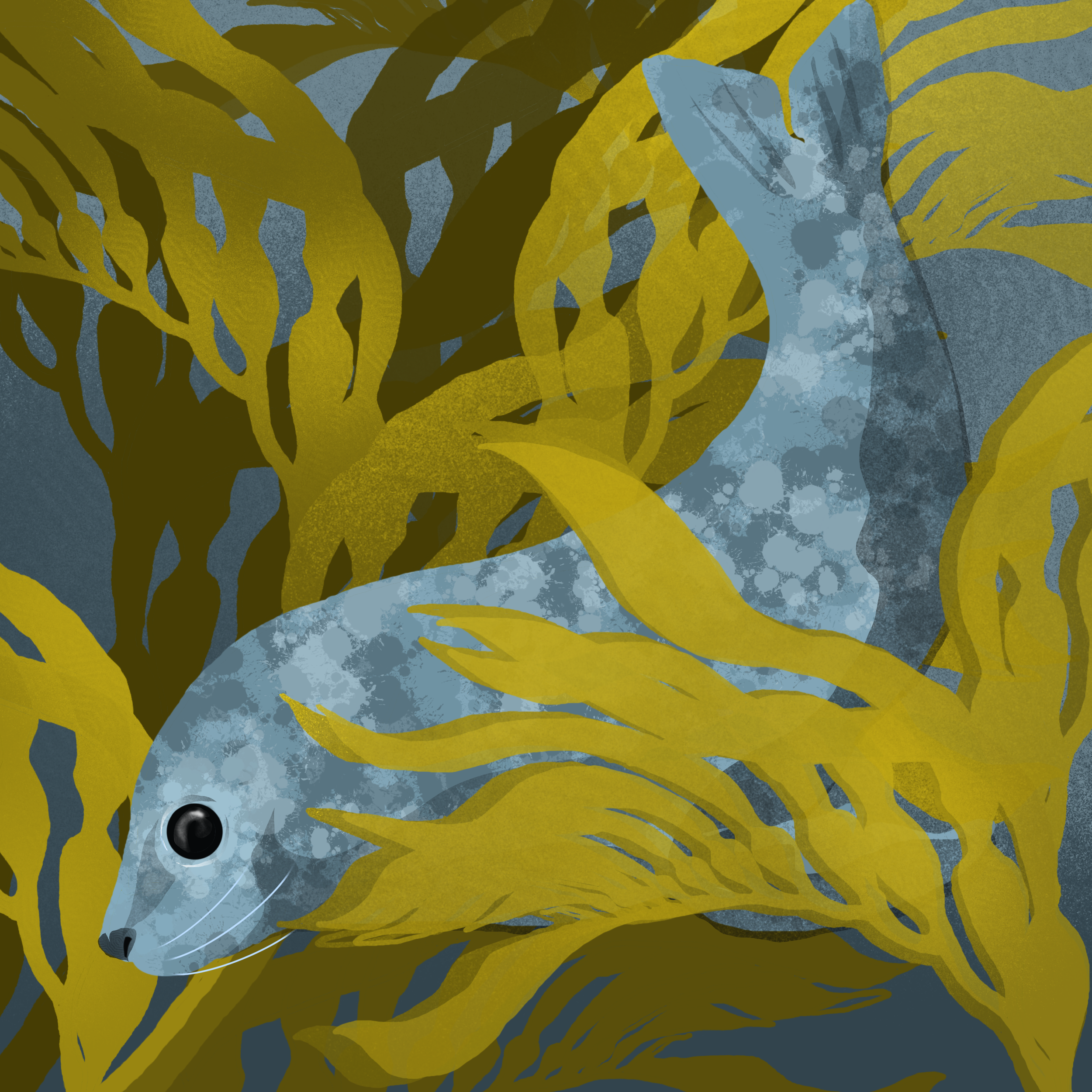A Harbor Seal swimming in a kelp forest, an illustration that is printed on canvas that's ready to hang as decor which is available in the Freyjacgk Etsy shop.