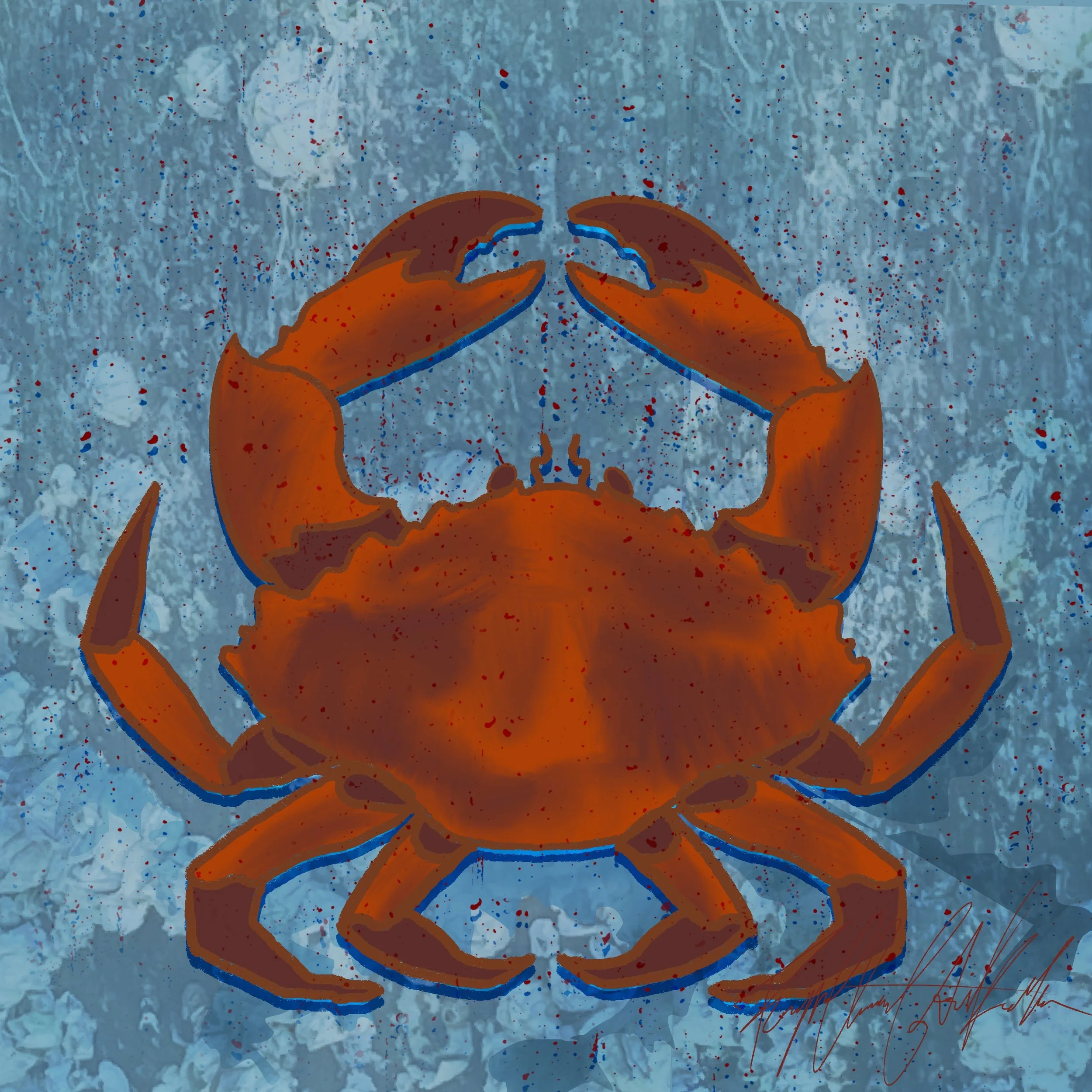 A red rock crab illustration on barnacles, one of the illustrations available for a flexi iPhone case sold on the Freyjacgk Etsy shop.