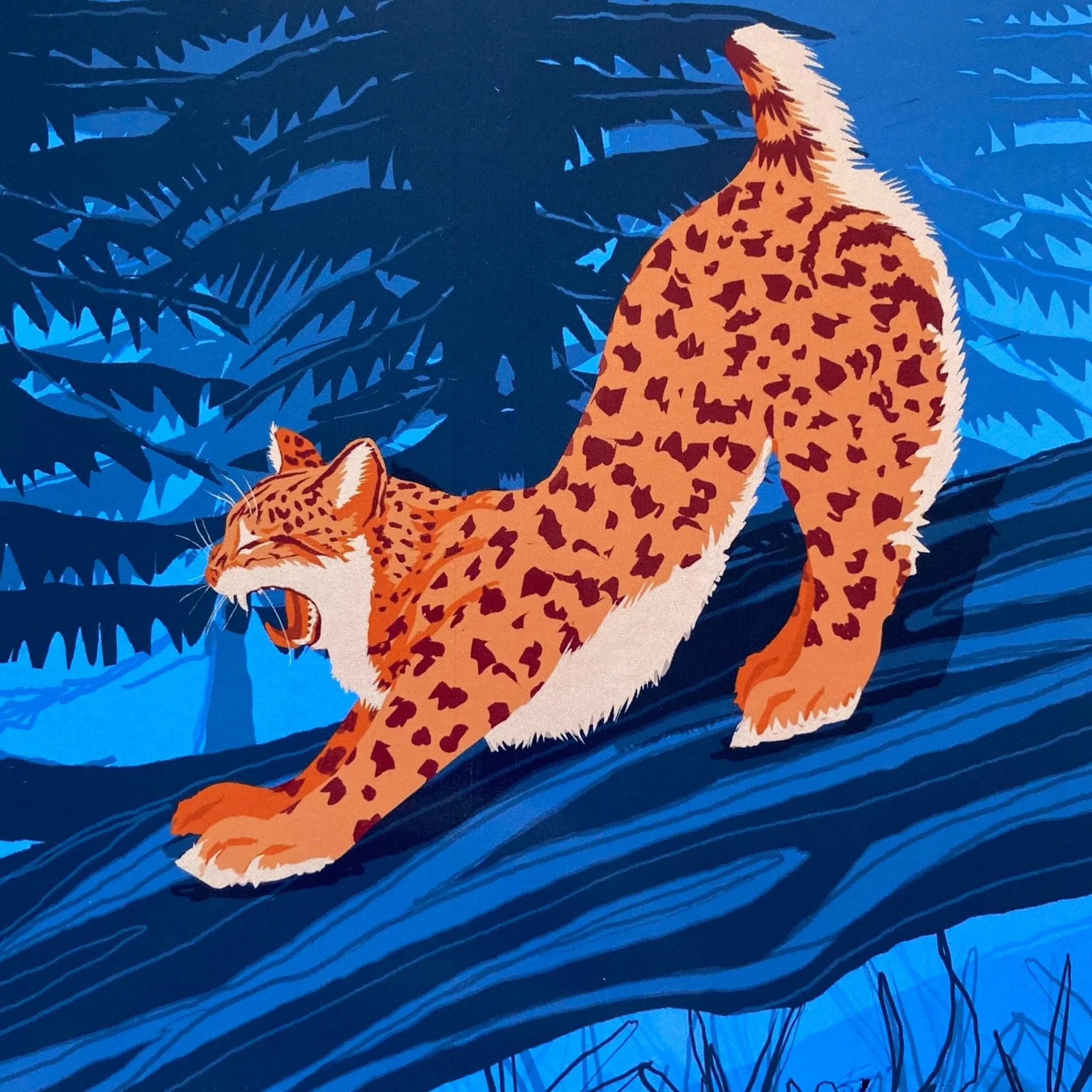 Vibrant orange bobcat illustration on a blue Pacific Northwest forest background, a print available in the Etsy shop.