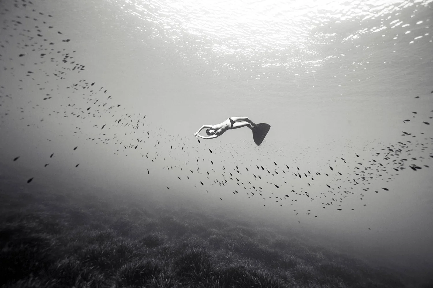 140907-2671-freedive.jpg