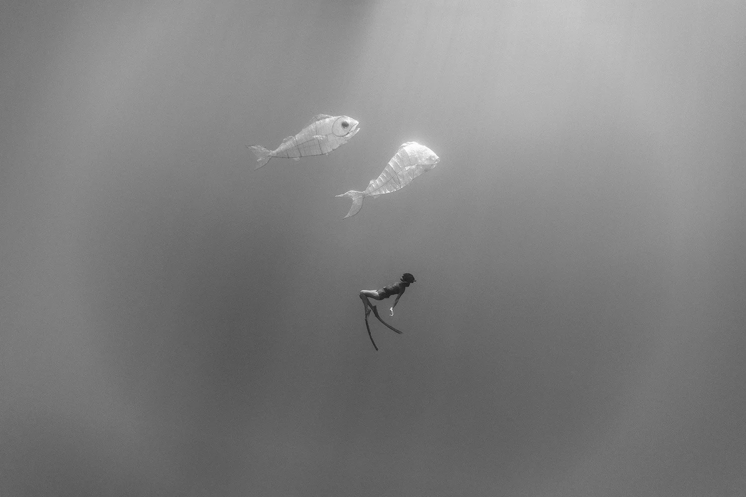 190831-9C1A7609-plastic.jpg