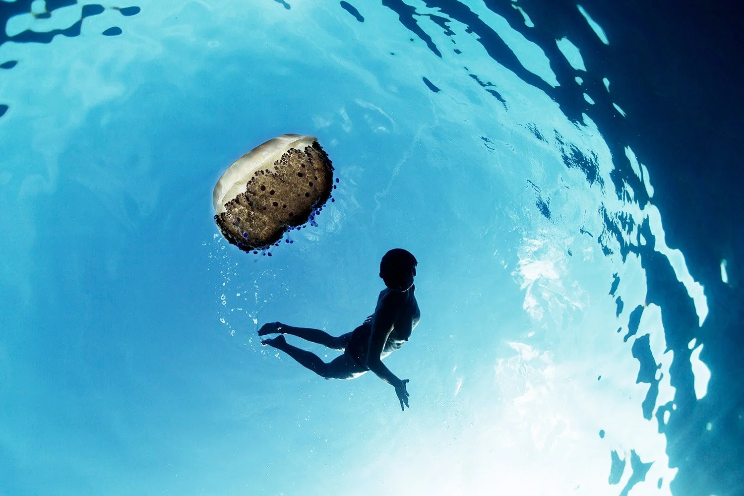 140908-2915-freedive.jpg