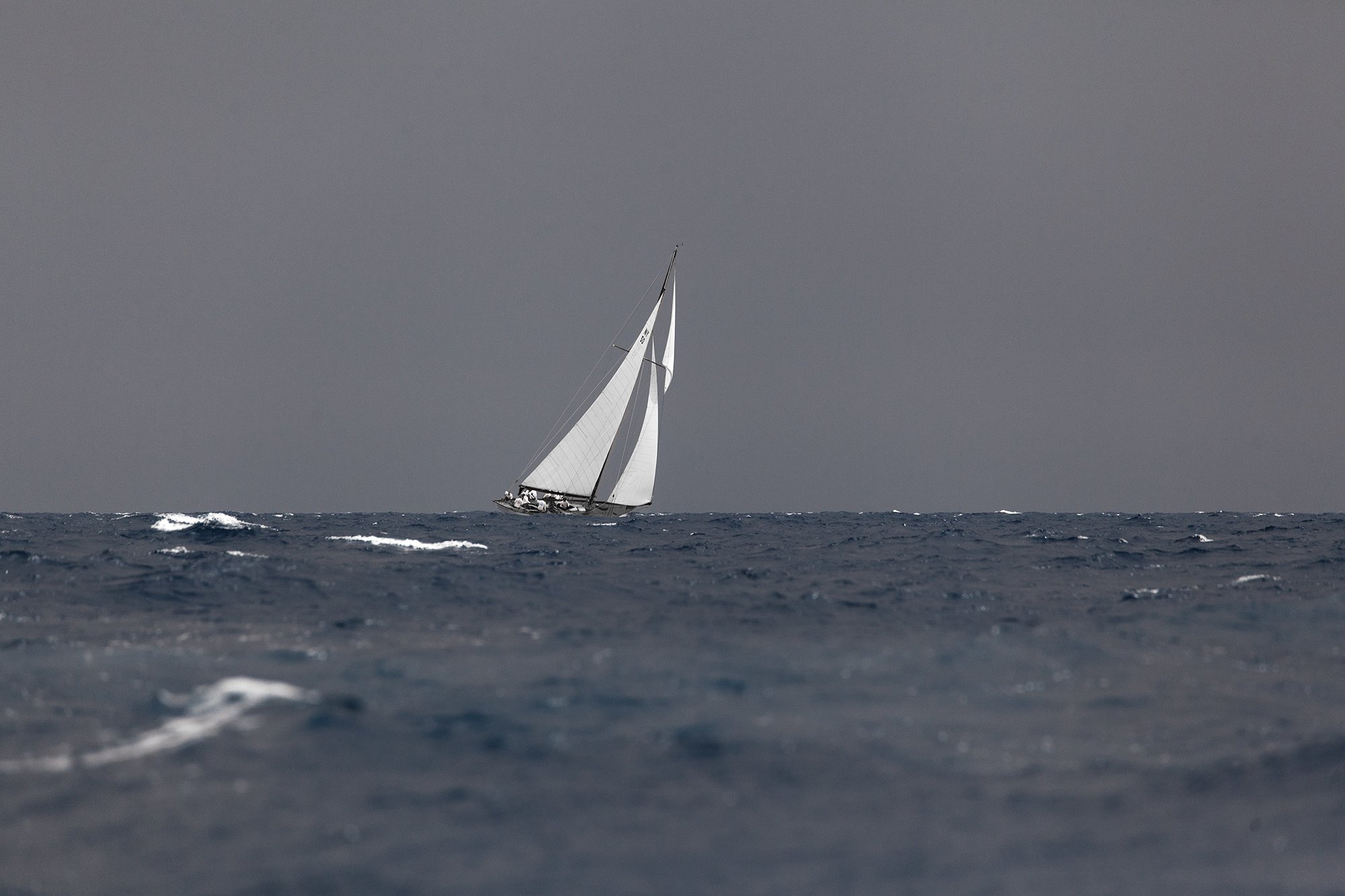 260826-1006-sail.jpg