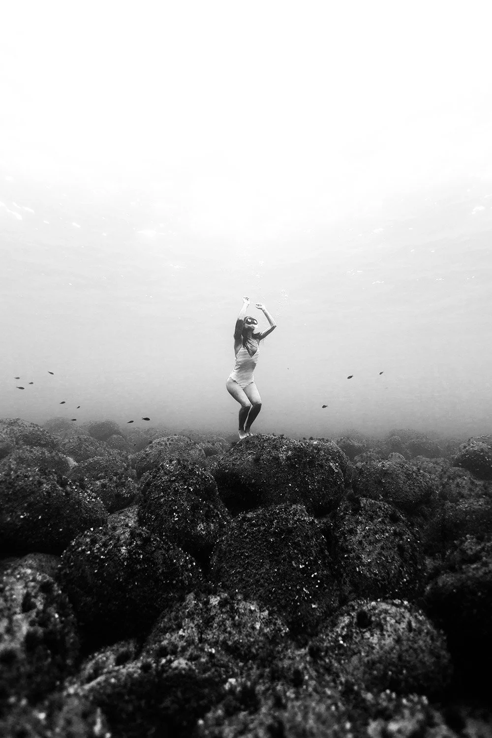 170722-1759-freedive.jpg
