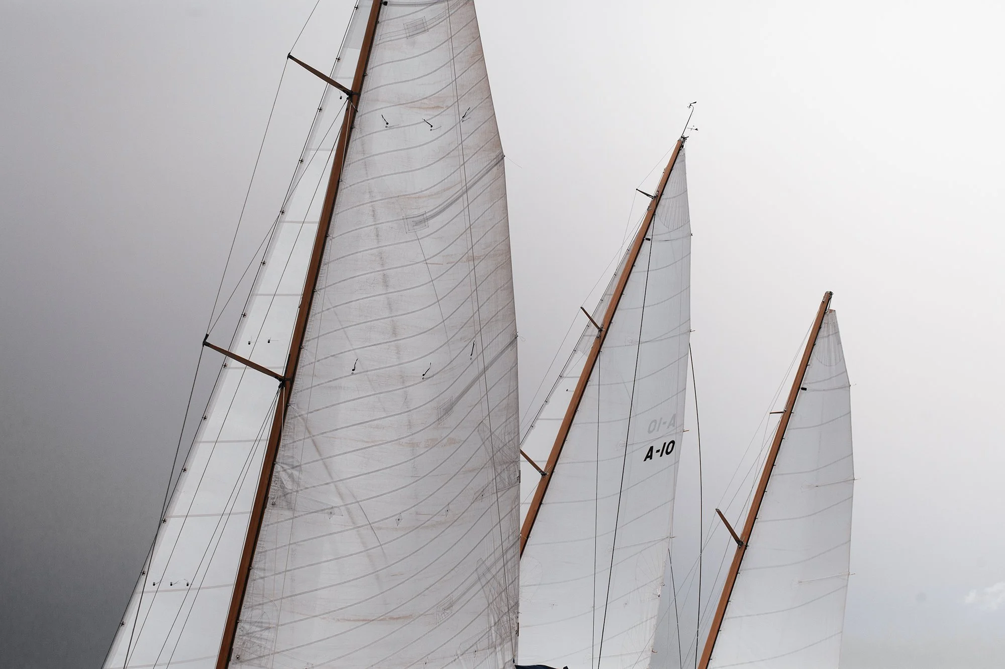 260826-0950-sail.jpg