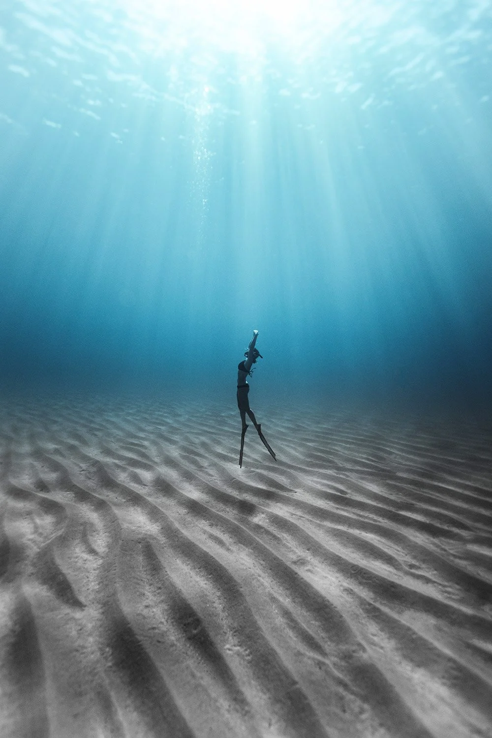 200826-9C1A6576-freedive-featured.jpg