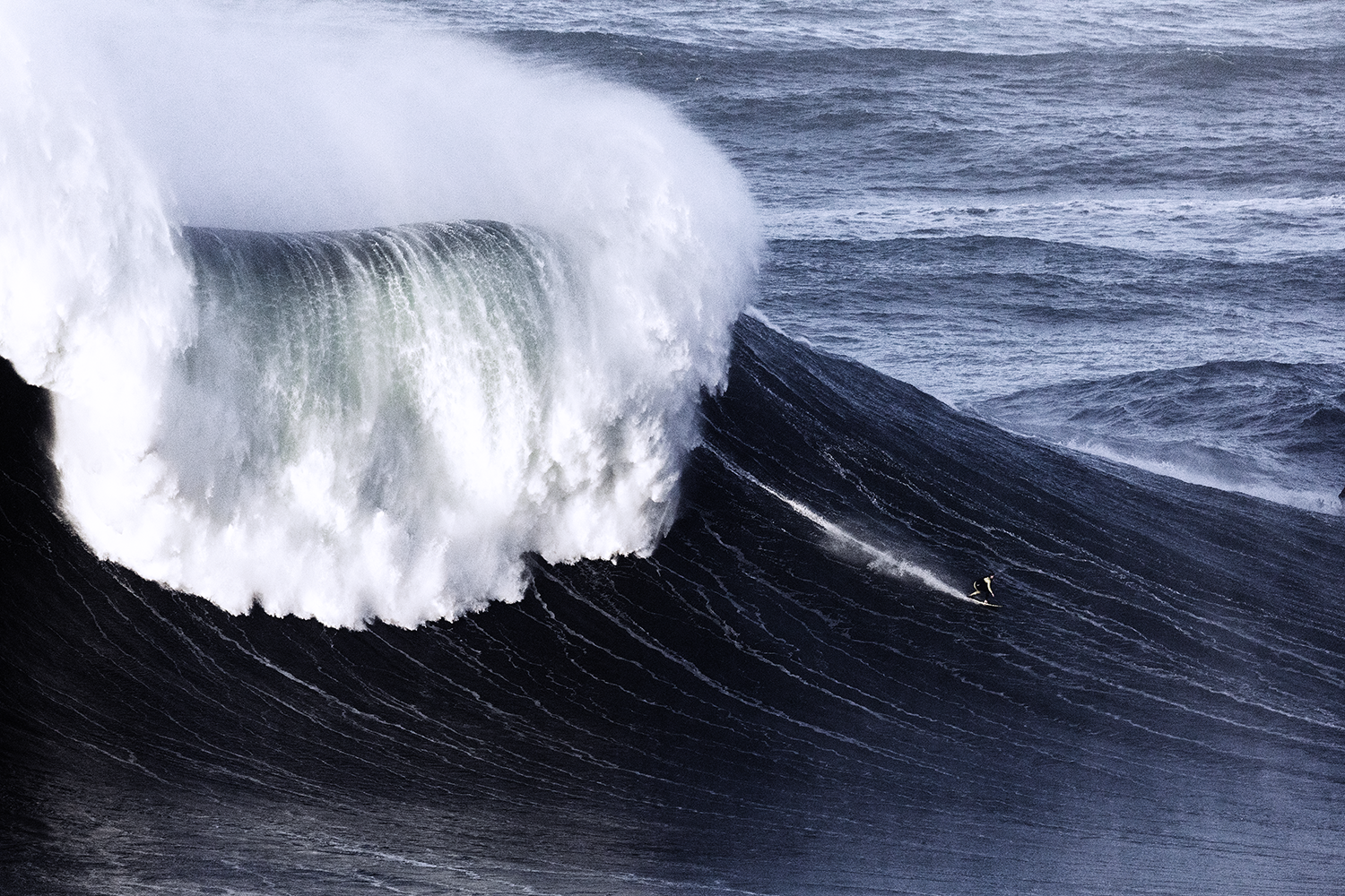 251203-0A0A9688-surf.png