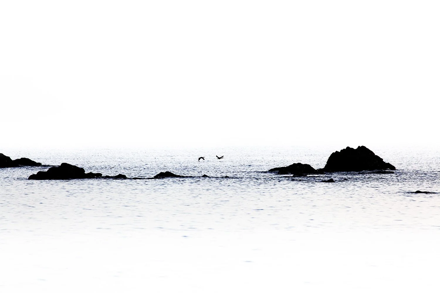 230810-3421-landscape.jpg