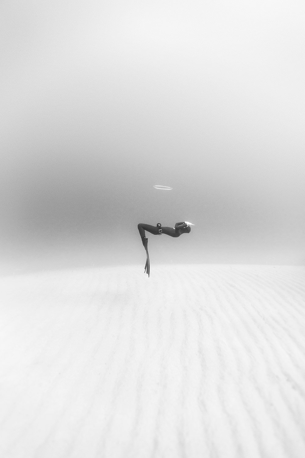 200323-9C1A8482-freedive.jpg