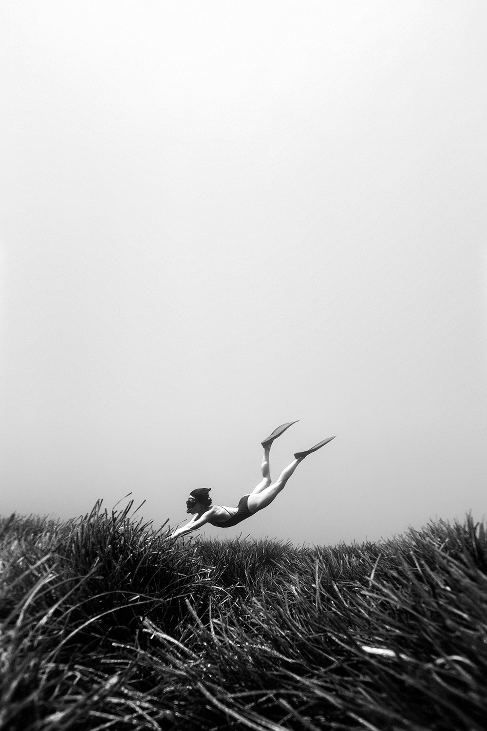 170614-7263-freedive.jpg