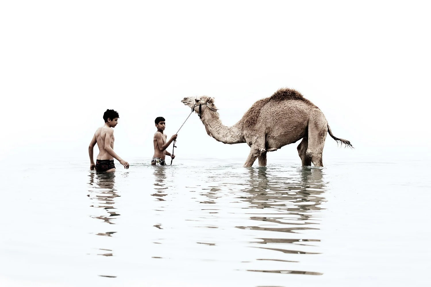 Two boys wade in water holding a rope attached to a camel, with a vast white background.